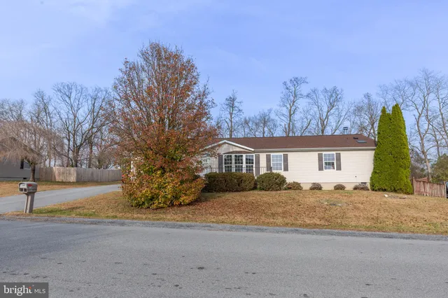 a view of a house with a tree in front of it