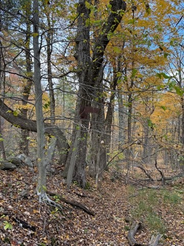 151 Wilker Road Ashburnham, MA 01430 - Photo 9 of 9
