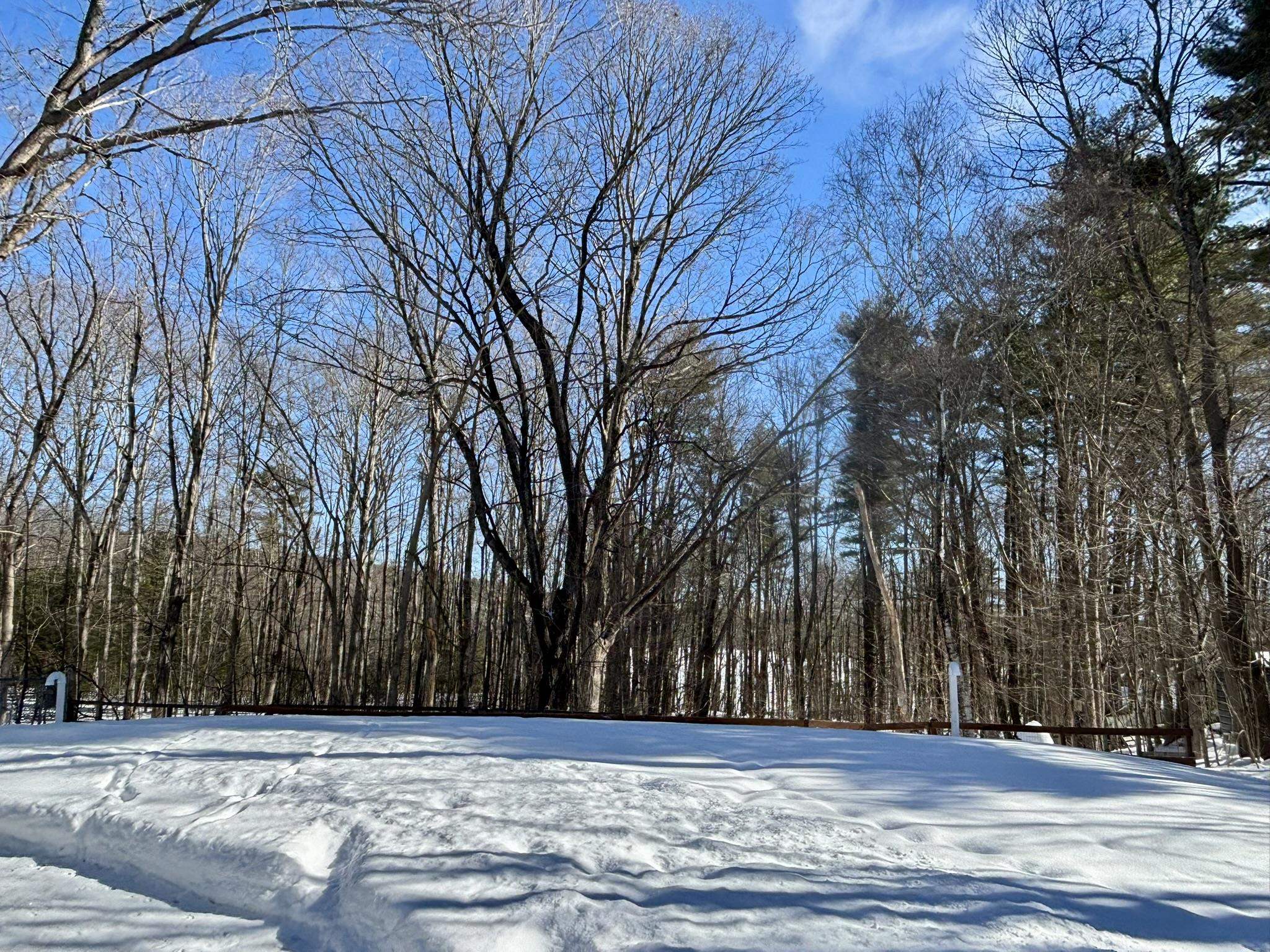 500 East Dunbarton Road Goffstown, NH 03045 - Photo 11 of 43