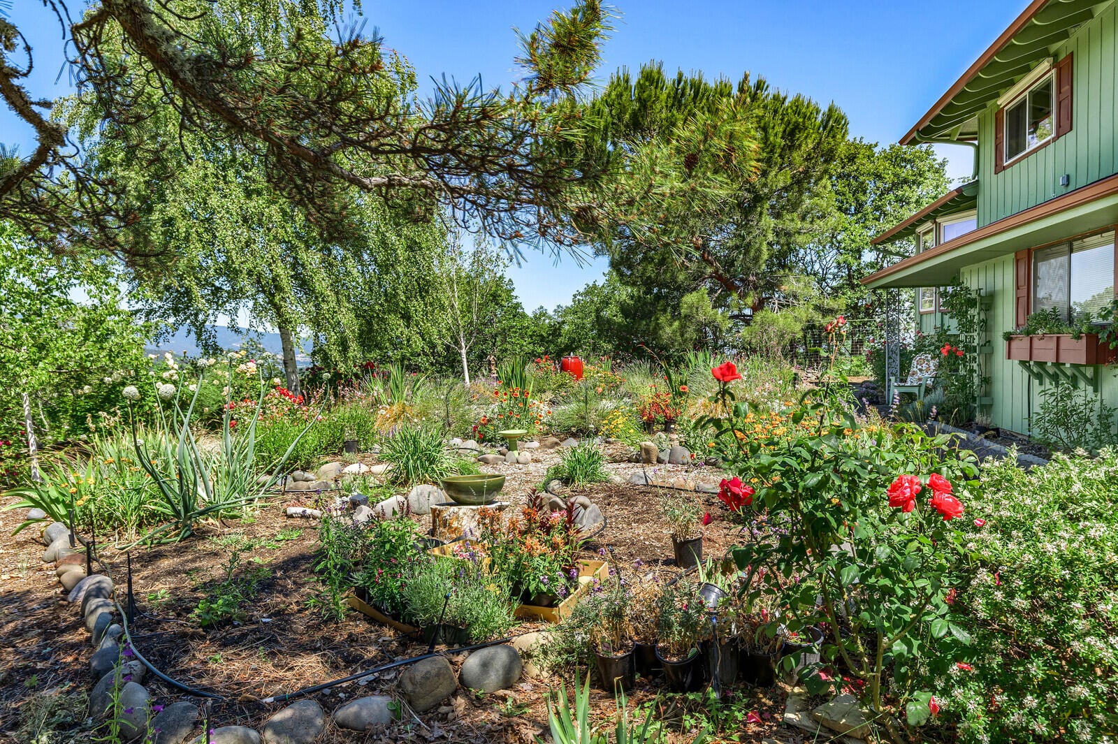 5196 Pioneer Road Medford, OR 97501 - Photo 53 of 94 Front/west yard full of perennials and pollinator plants.