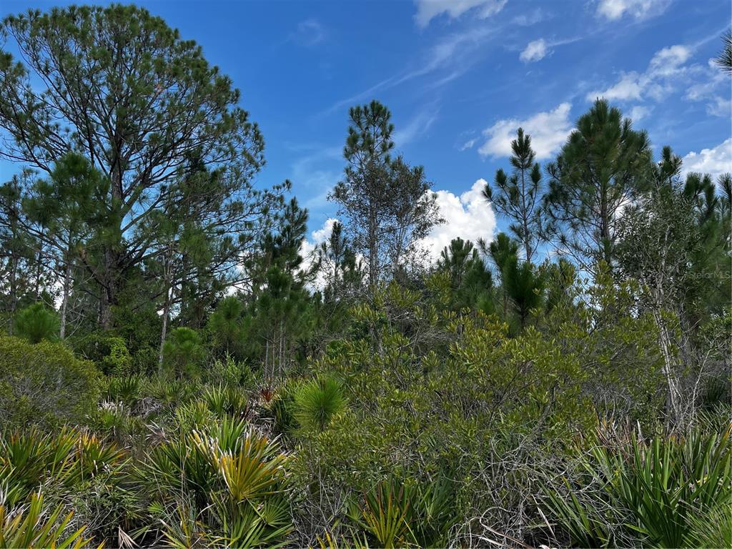 50204 Bermont Road Punta Gorda, FL 33982 - Photo 42 of 50 Gallery Image 42