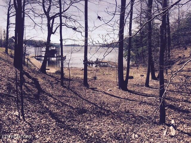 Lot 7 Lodge Road Spring City, TN 37381 - Photo 4 of 6 20230924013952751567000000-o