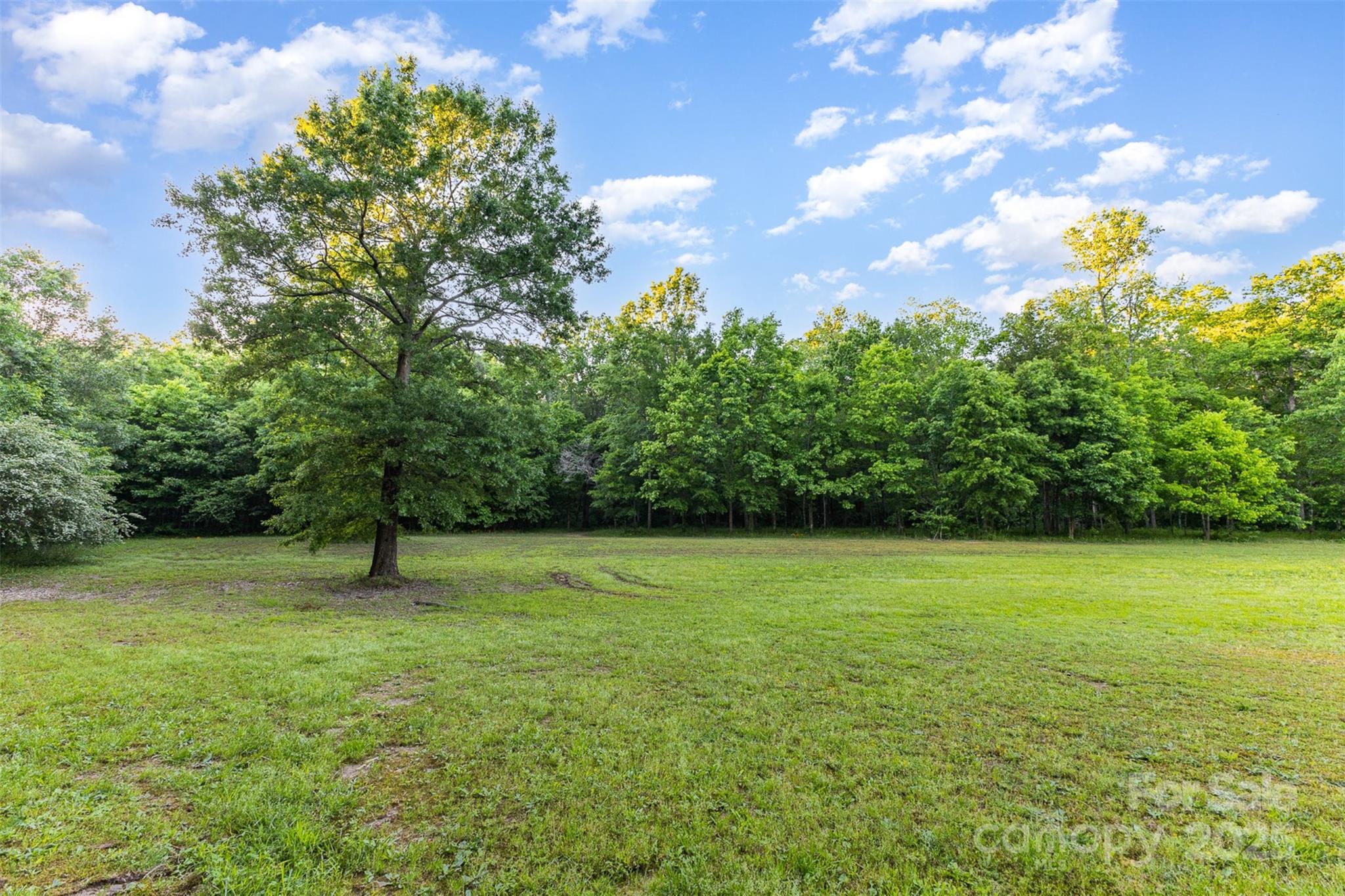 Vacant Reap Road Albemarle, NC 28001 - Photo 4 of 35 Gallery Image 4