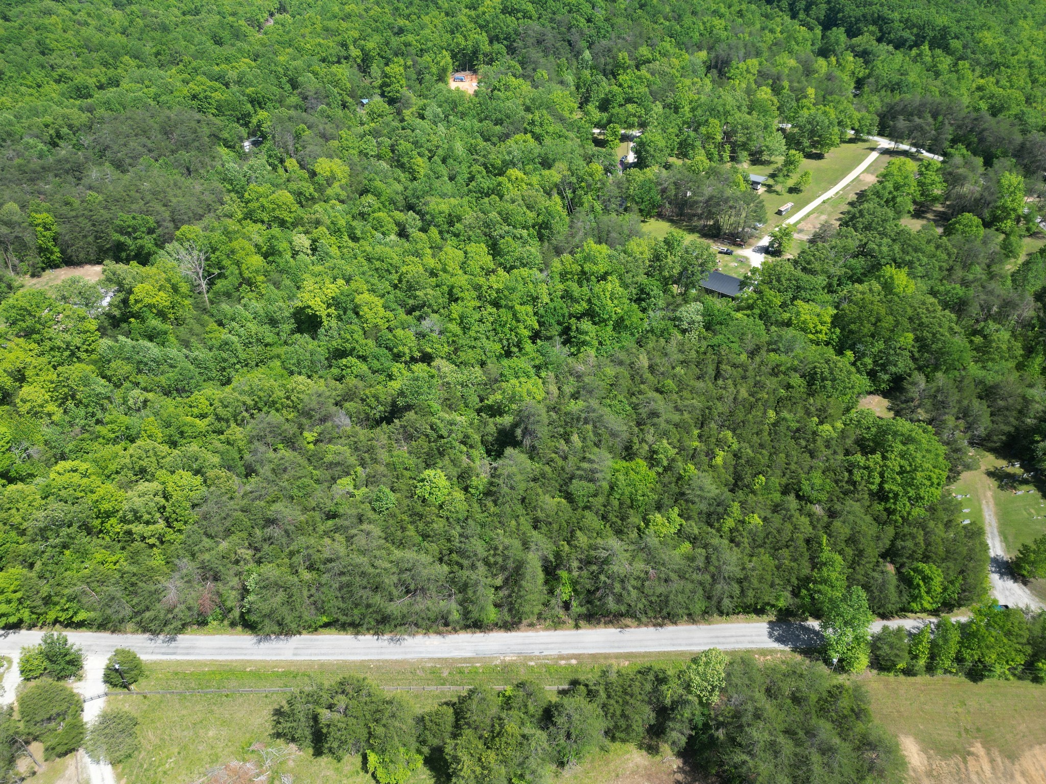 828 McCord Hollow Road Hohenwald, TN 38462 - Photo 34 of 35 a view of a yard with a tree