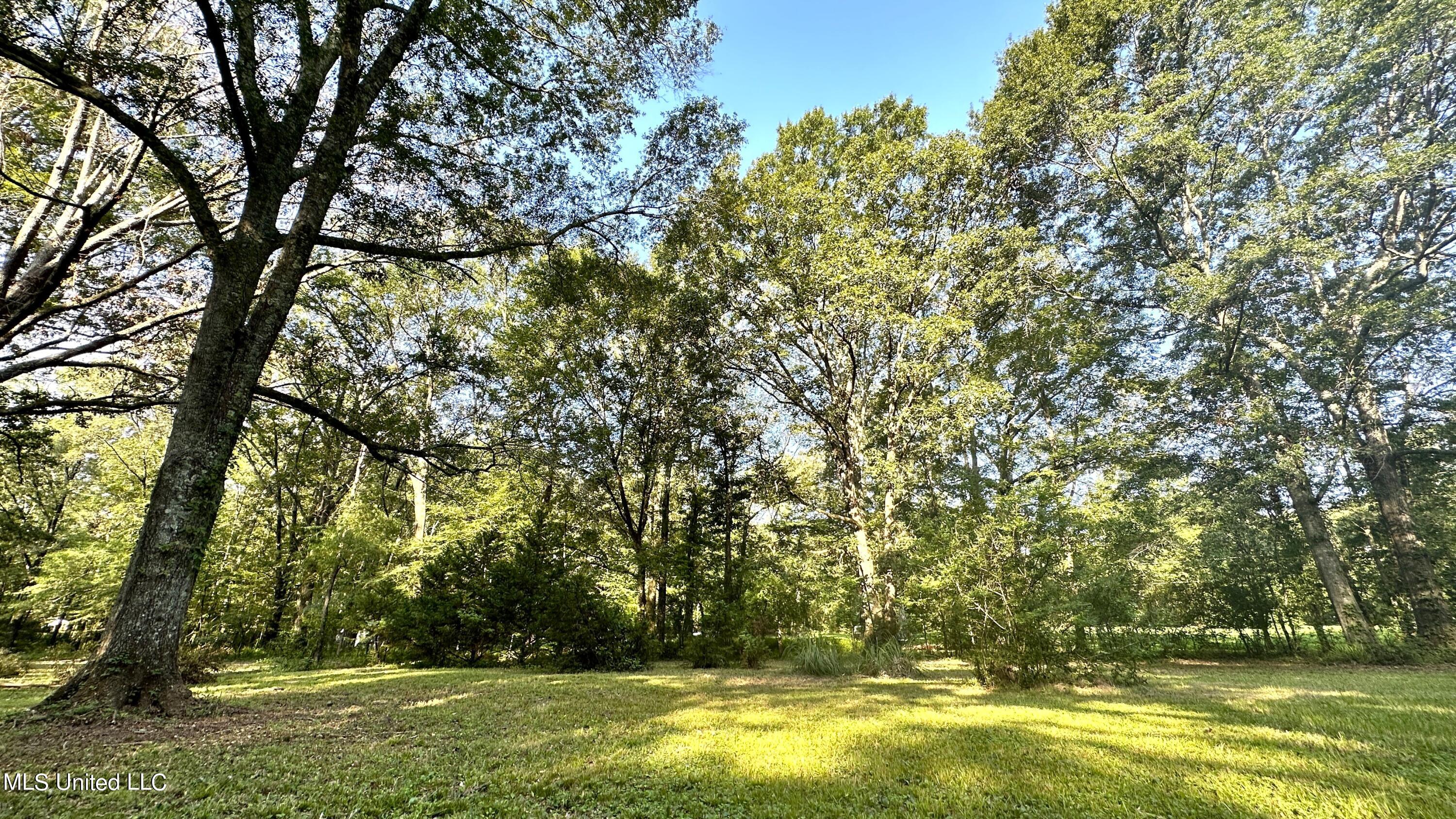 3553 McFarland Road Raymond, MS 39154 - Photo 39 of 47 ACREAGE