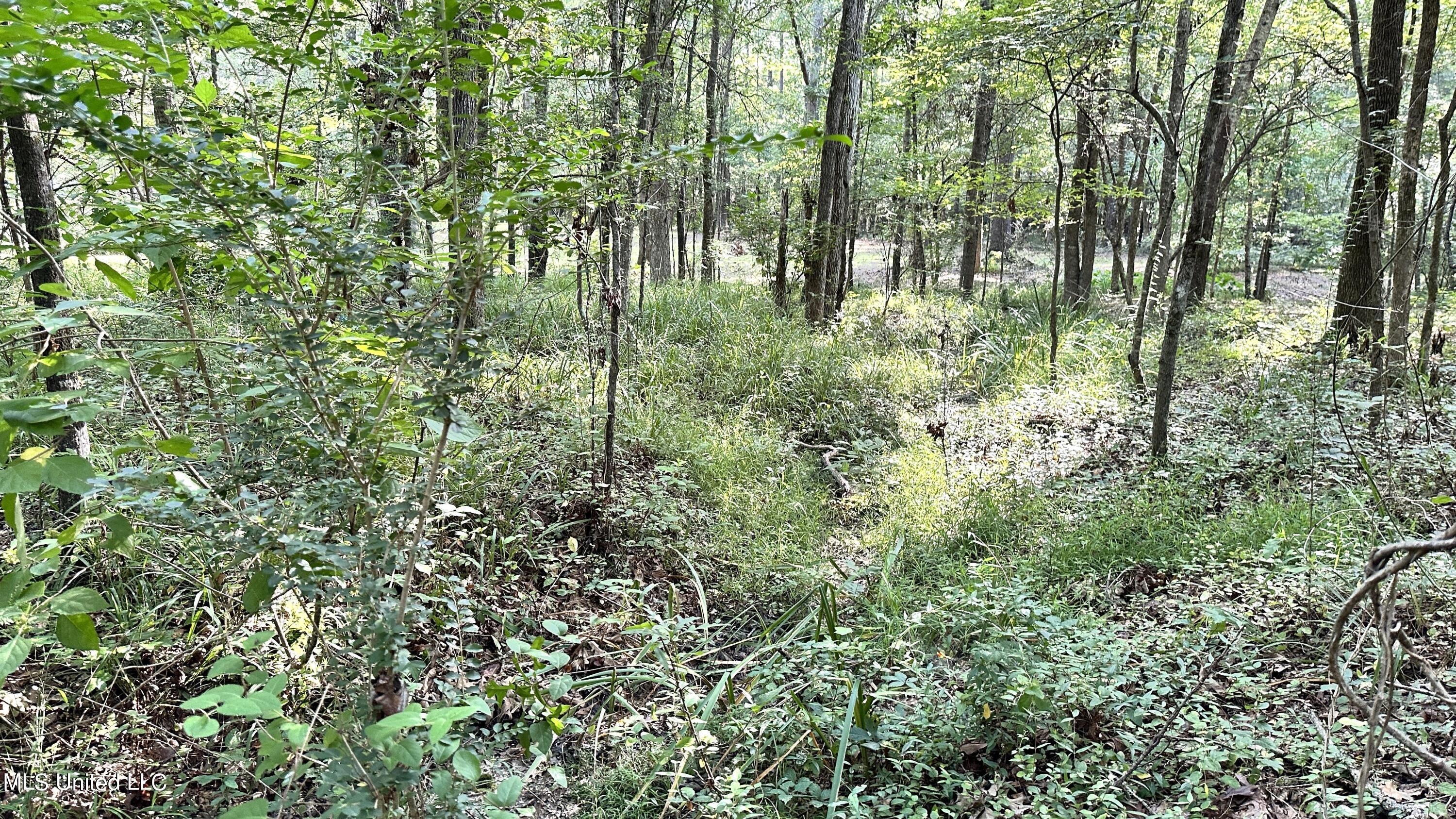 3553 McFarland Road Raymond, MS 39154 - Photo 40 of 47 ACREAGE 2