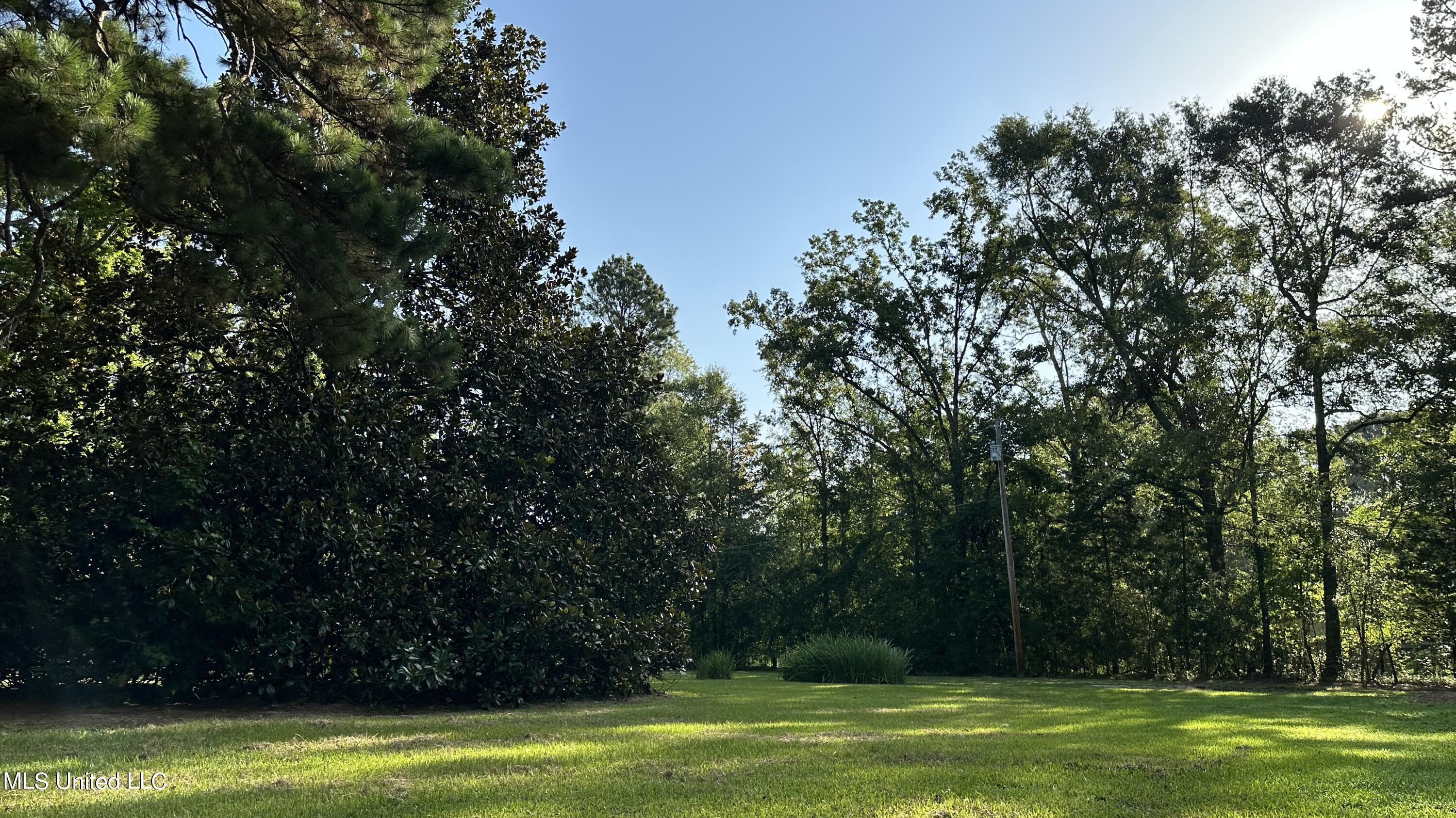 3553 McFarland Road Raymond, MS 39154 - Photo 4 of 47 FRONT YARD 2