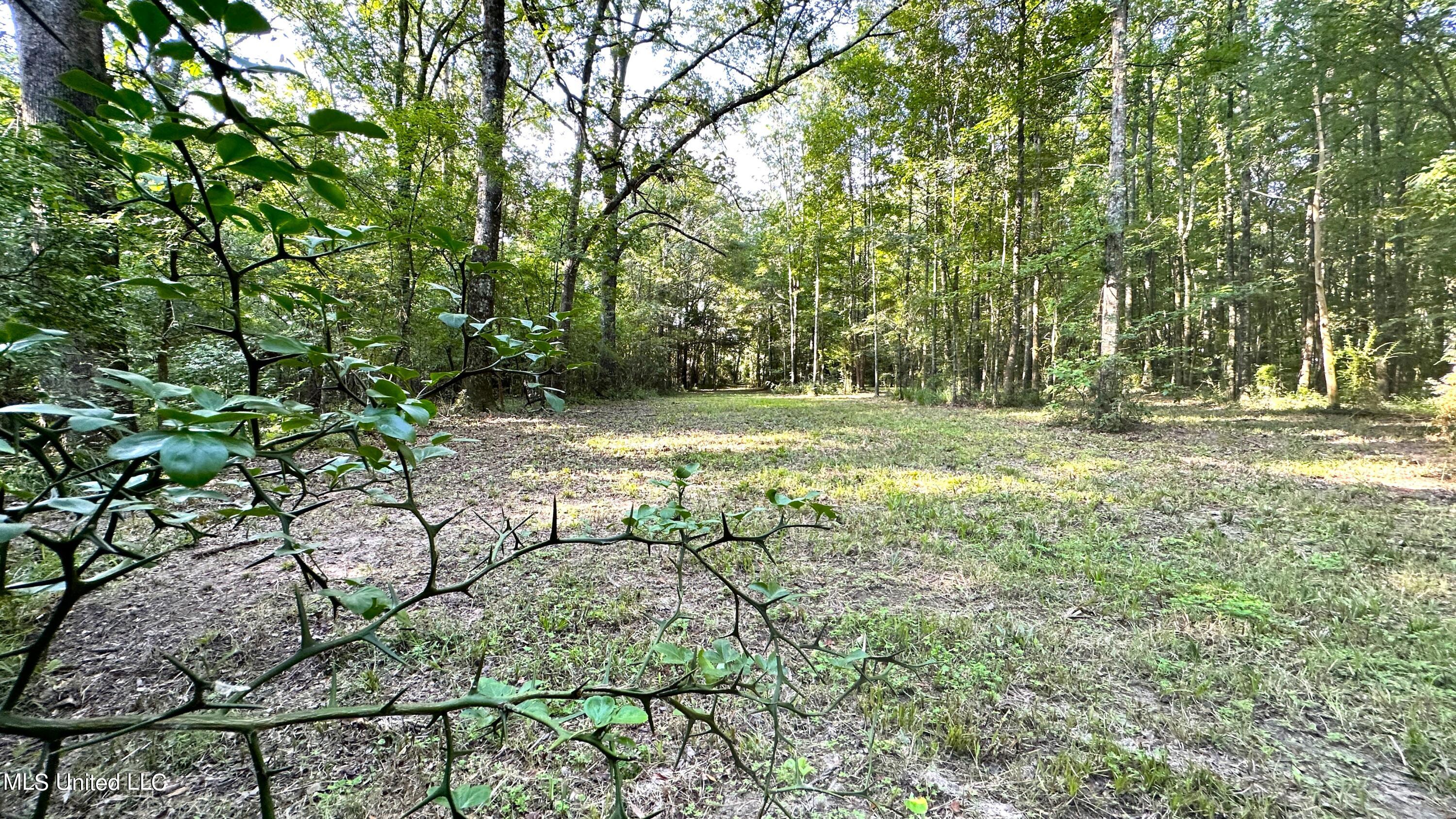 3553 McFarland Road Raymond, MS 39154 - Photo 42 of 47 ACREAGE 4