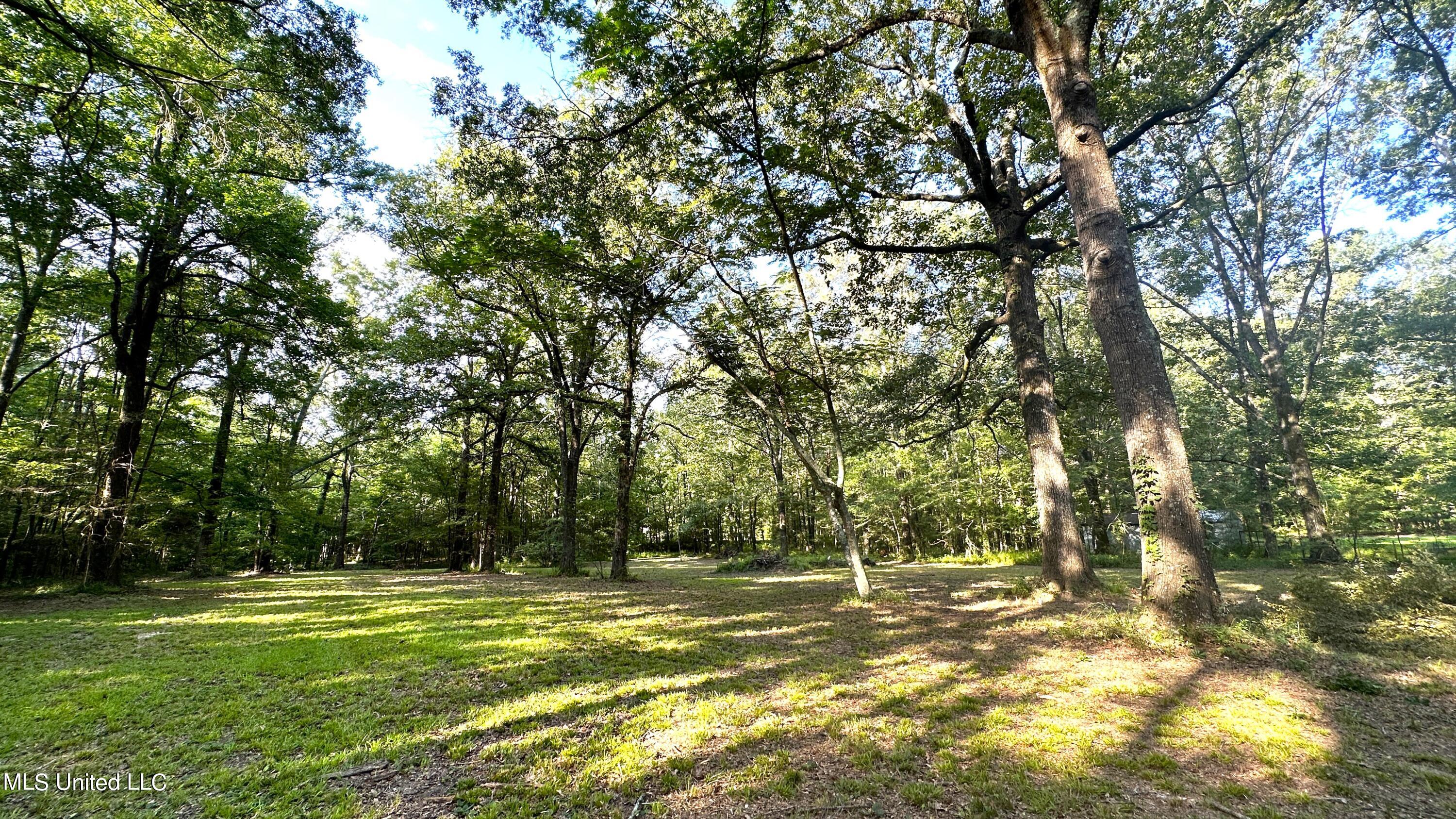 3553 McFarland Road Raymond, MS 39154 - Photo 44 of 47 ACREAGE 6