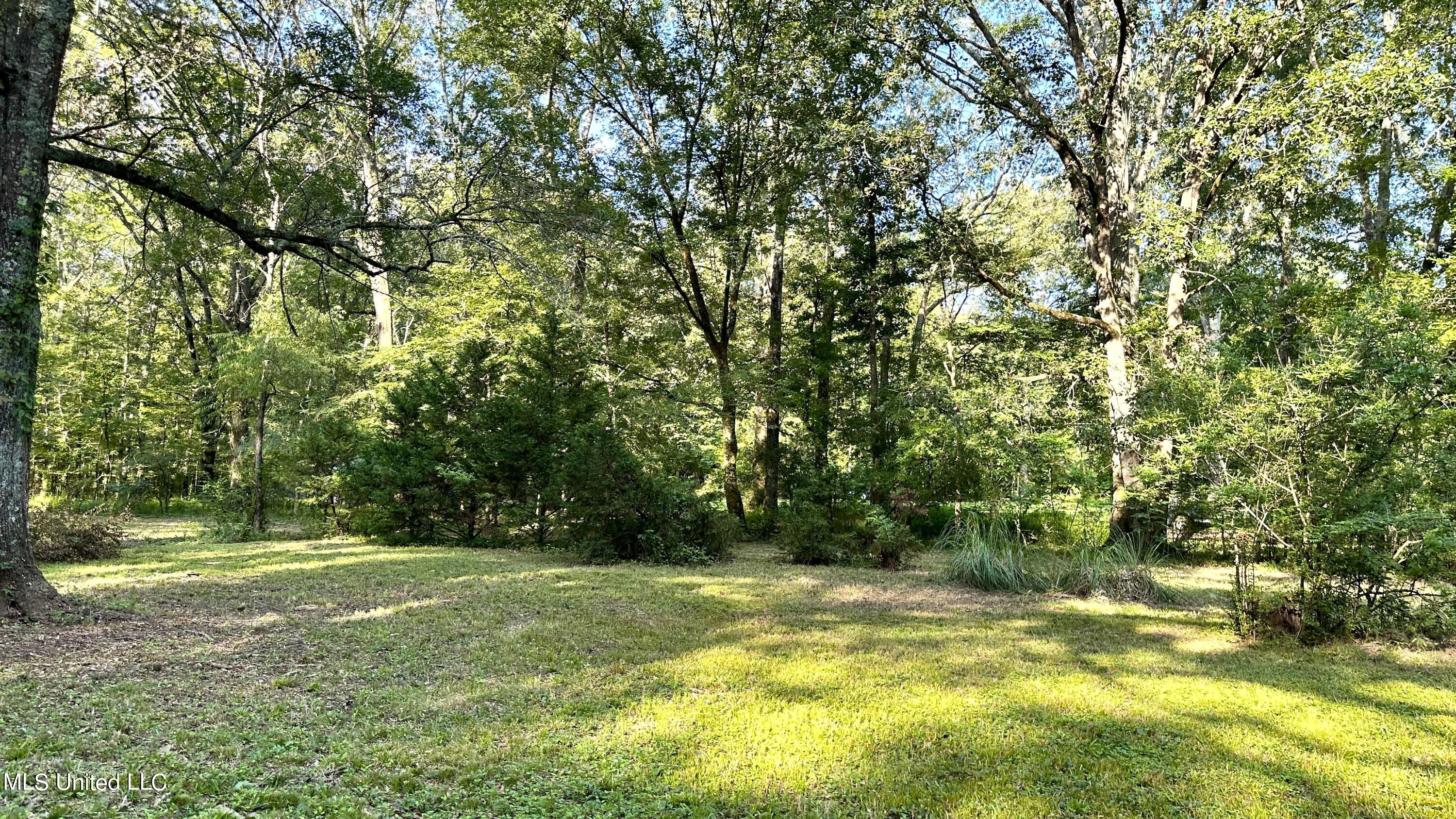3553 McFarland Road Raymond, MS 39154 - Photo 45 of 47 ACREAGE 7