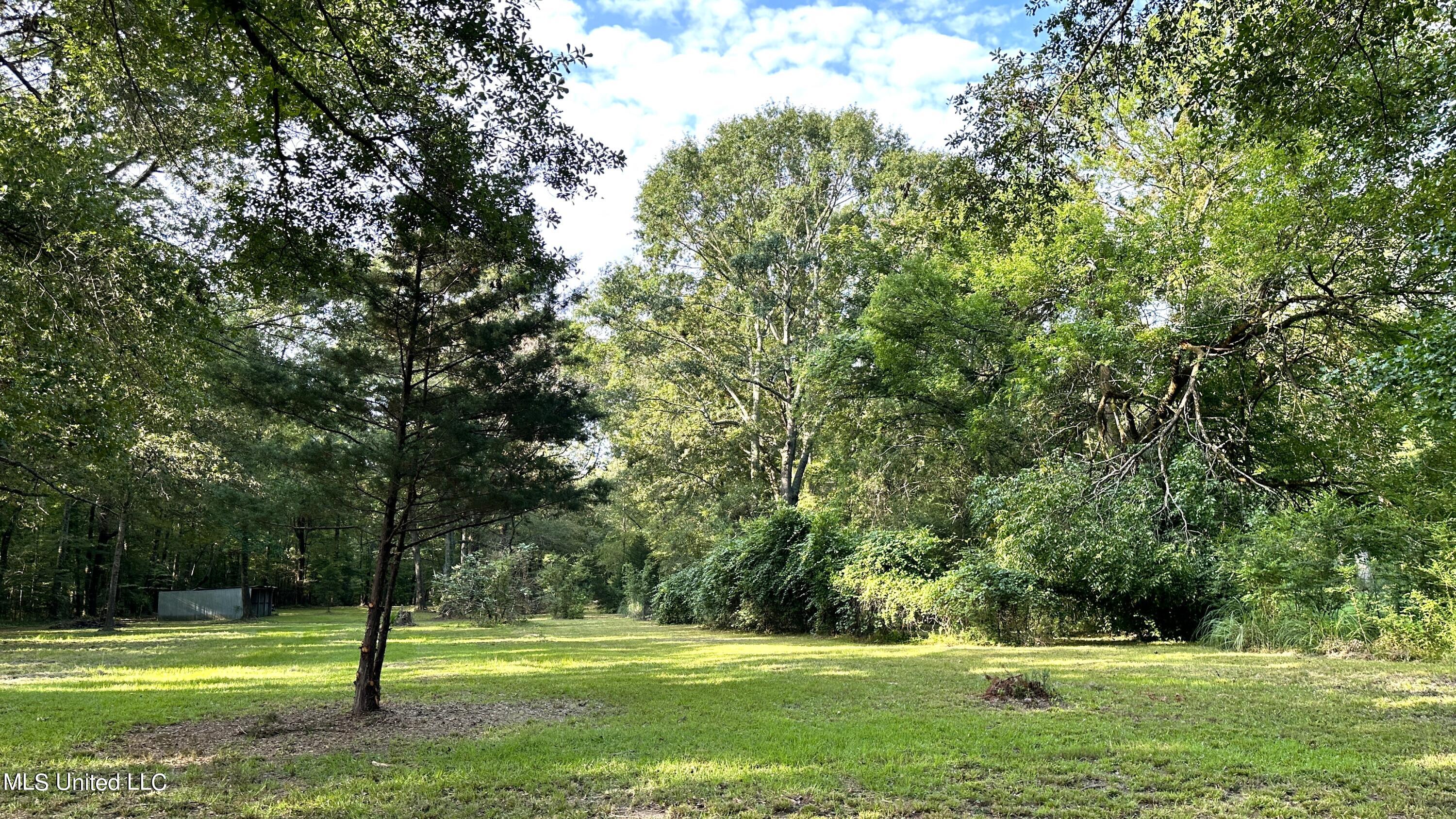3553 McFarland Road Raymond, MS 39154 - Photo 46 of 47 ACREAGE 8