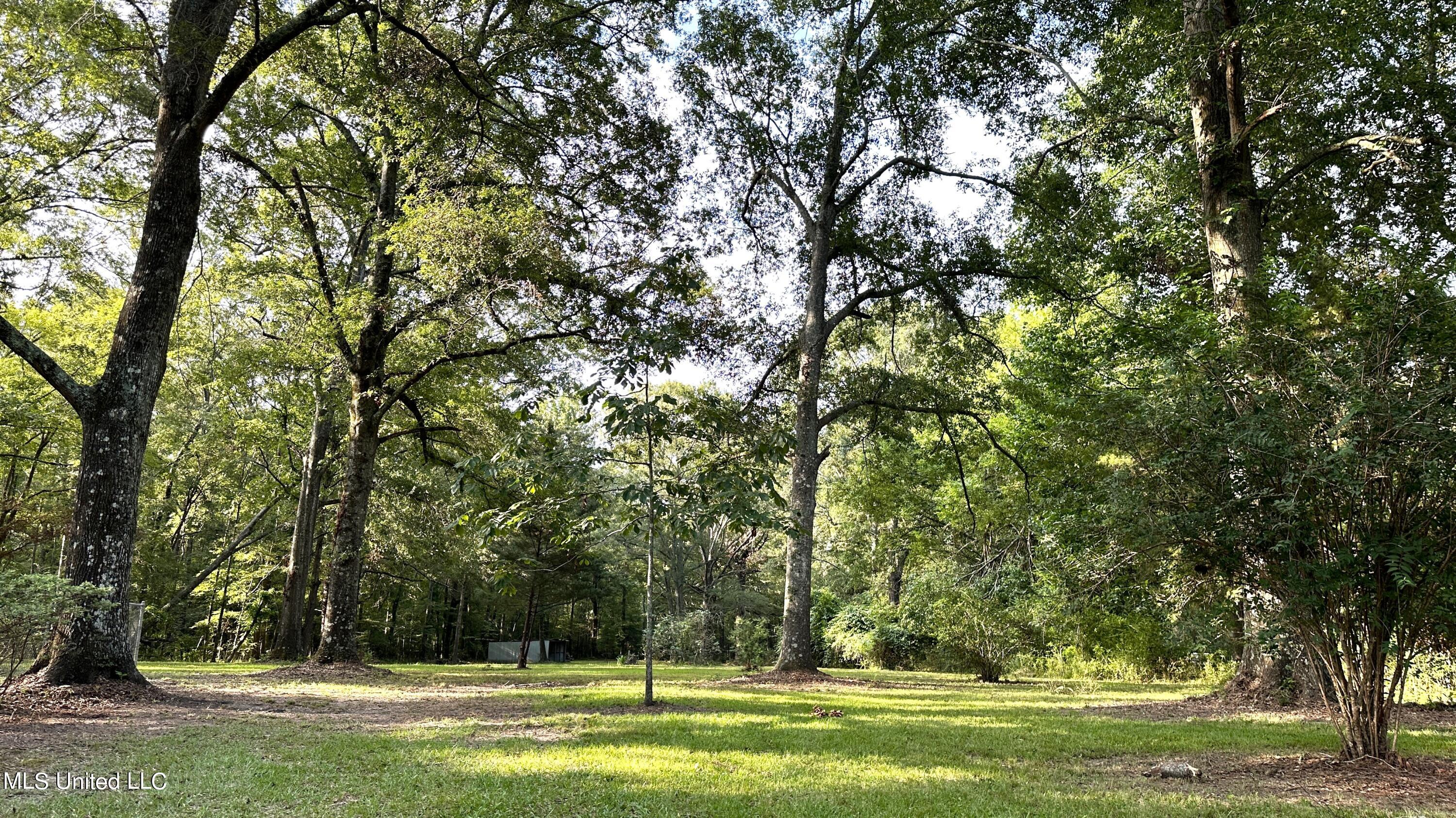 3553 McFarland Road Raymond, MS 39154 - Photo 47 of 47 ACREAGE 9