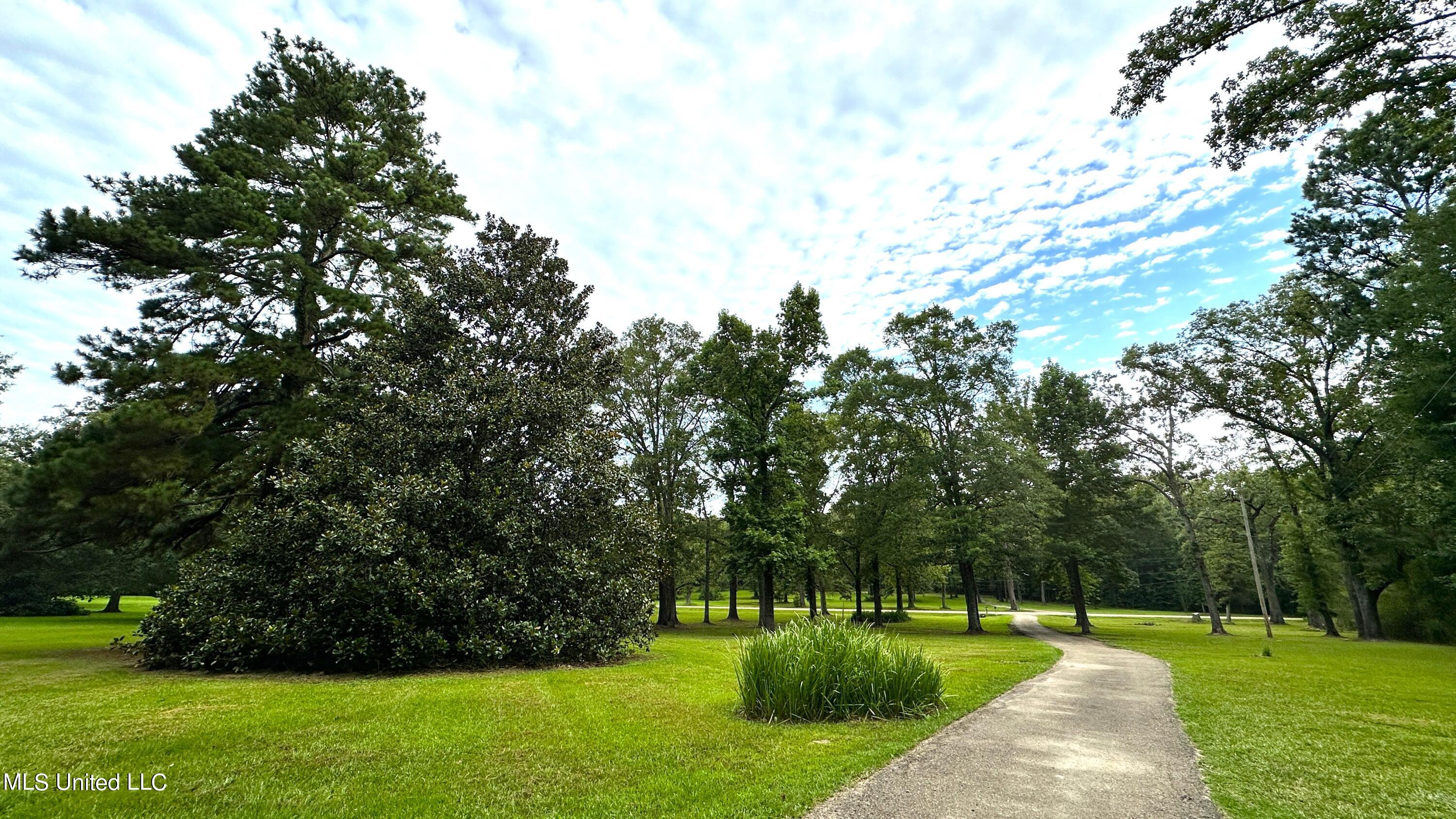 3553 McFarland Road Raymond, MS 39154 - Photo 5 of 47 FRONT YARD 3