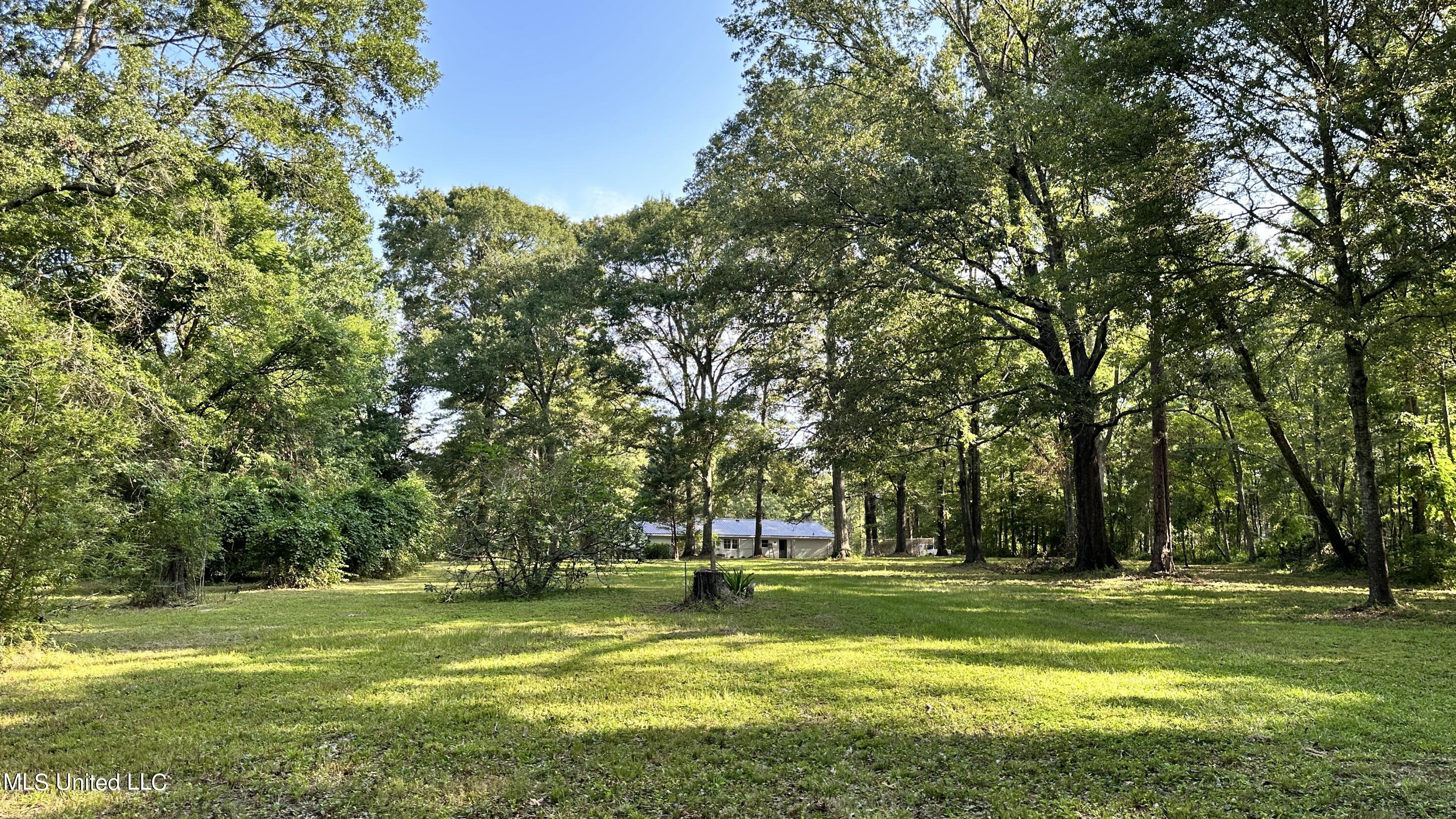 3553 McFarland Road Raymond, MS 39154 - Photo 6 of 47 HOUSE AND ACREAGE