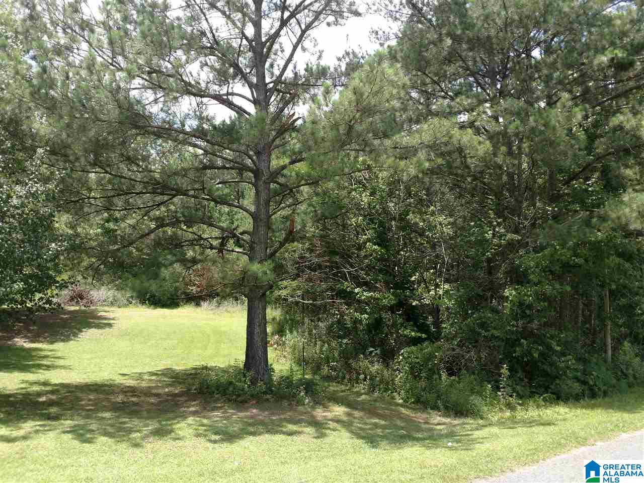 0 Jennings Road, Unit 1 Sylacauga, AL 35151 - Photo 1 of 1