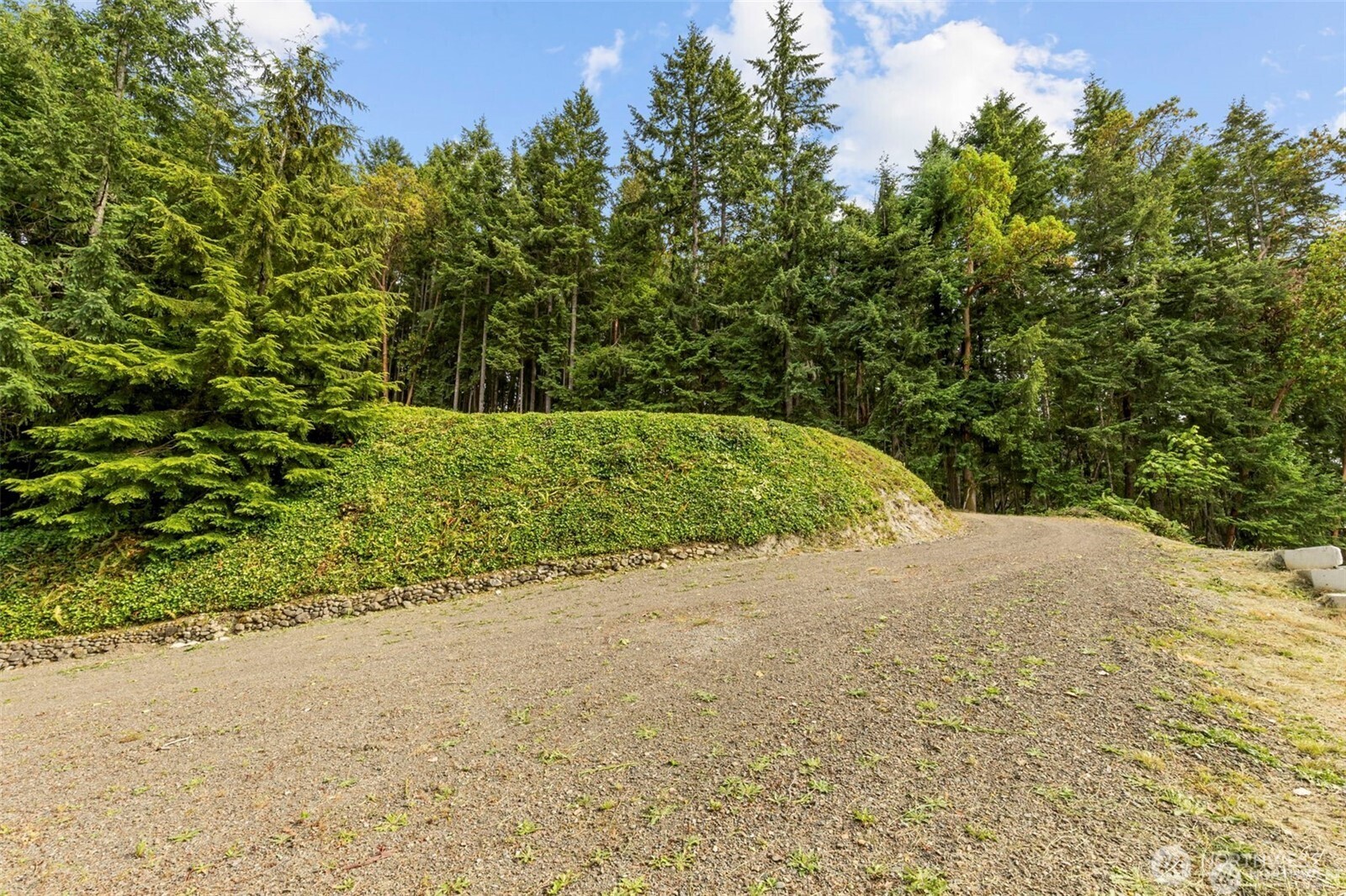 0 Northwest Misty Ridge Lane Silverdale, WA 98383 - Photo 12 of 16 a view of a yard with plants and trees