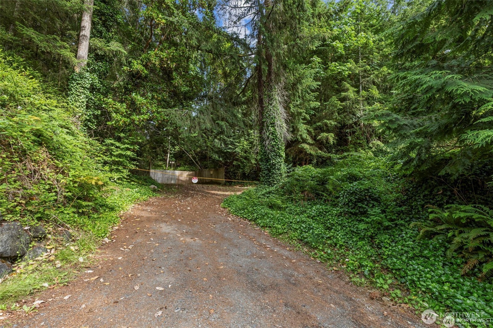 0 Northwest Misty Ridge Lane Silverdale, WA 98383 - Photo 10 of 16 a view of a street with a tree