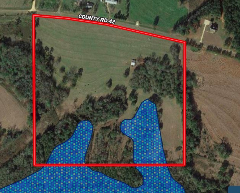 0 Tom Fain Road Geneva, AL 36340 - Photo 13 of 13