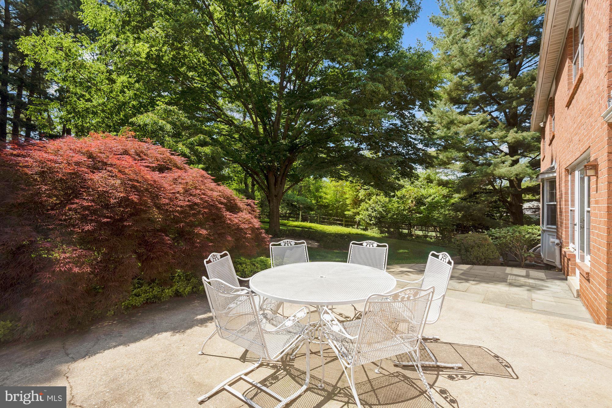 224 Springloch Road Silver Spring, MD 20904 - Photo 48 of 60 Rear Patio