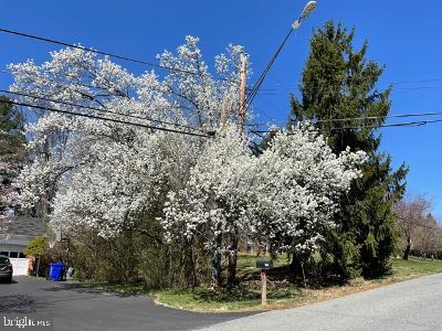 224 Springloch Road Silver Spring, MD 20904 - Photo 55 of 60 Spring Flowering Cherry Trees