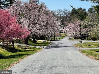224 Springloch Road Silver Spring, MD 20904 - Photo 56 of 60 Spring Flowering Cherry Trees