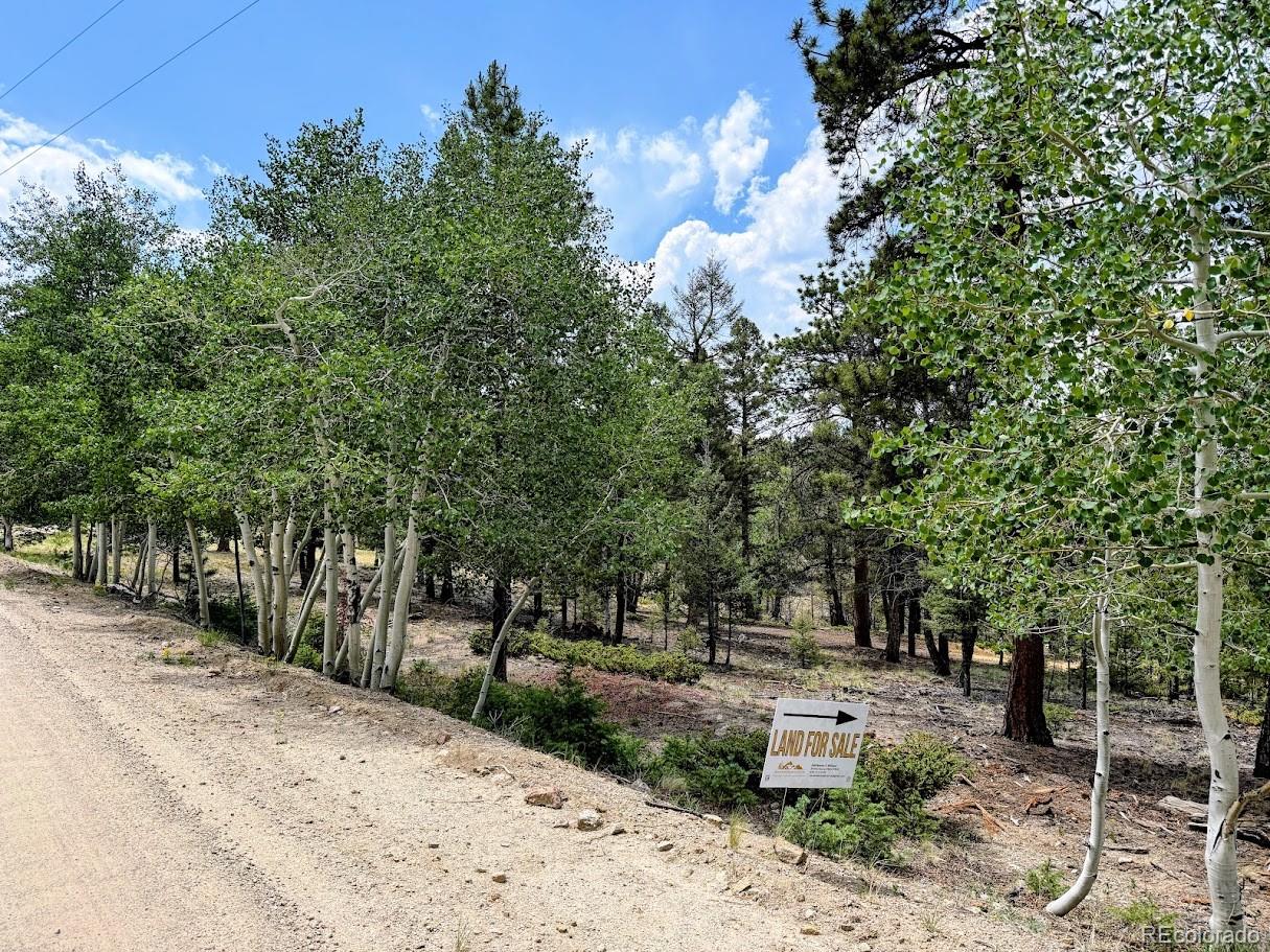 1789 Bellows Road Hartsel, CO 80449 - Photo 21 of 21
