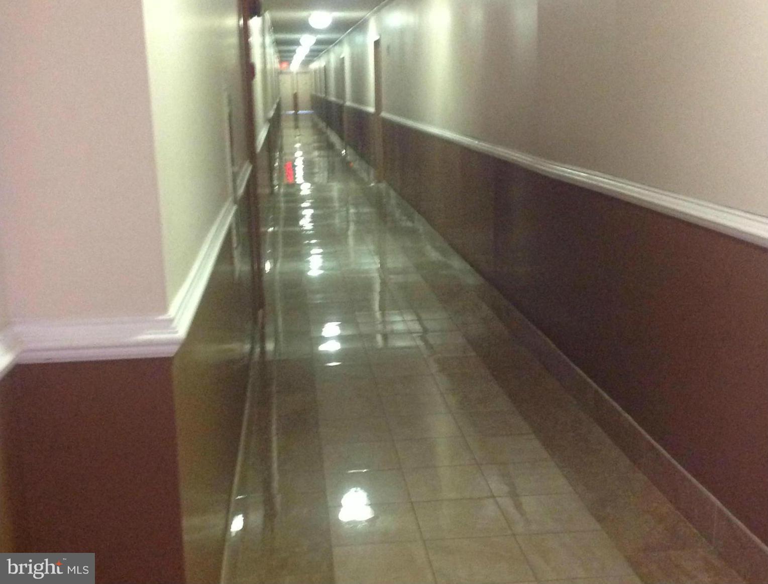1836 Metzerott Road, Unit 1025 Adelphi, MD 20783 - Photo 6 of 30 LOBBY CORRIDOR