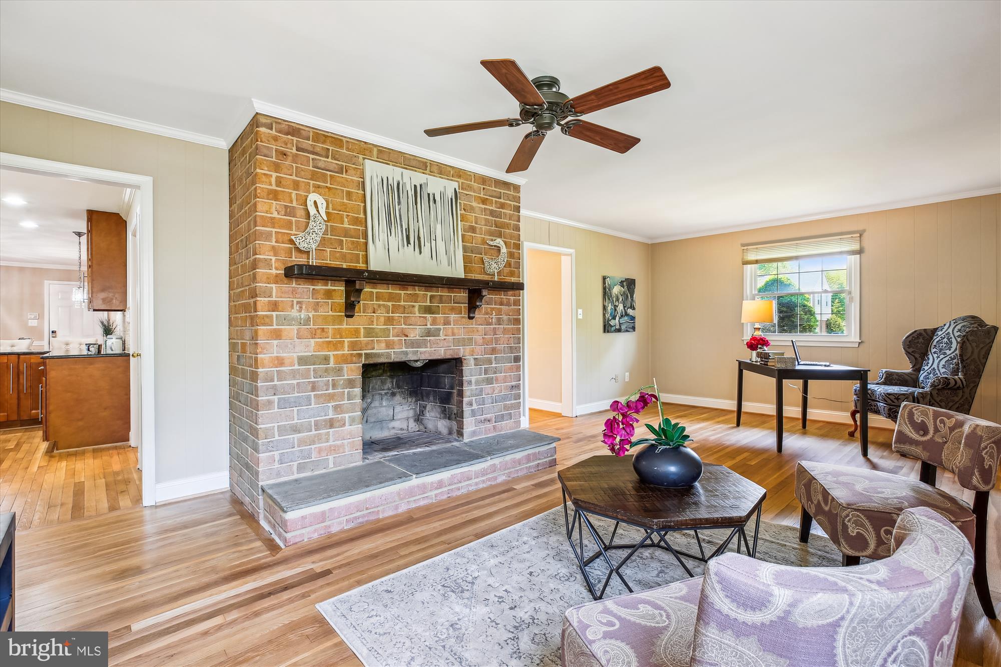 19313 Olney Mill Road Olney, MD 20832 - Photo 20 of 50 First Fireplace