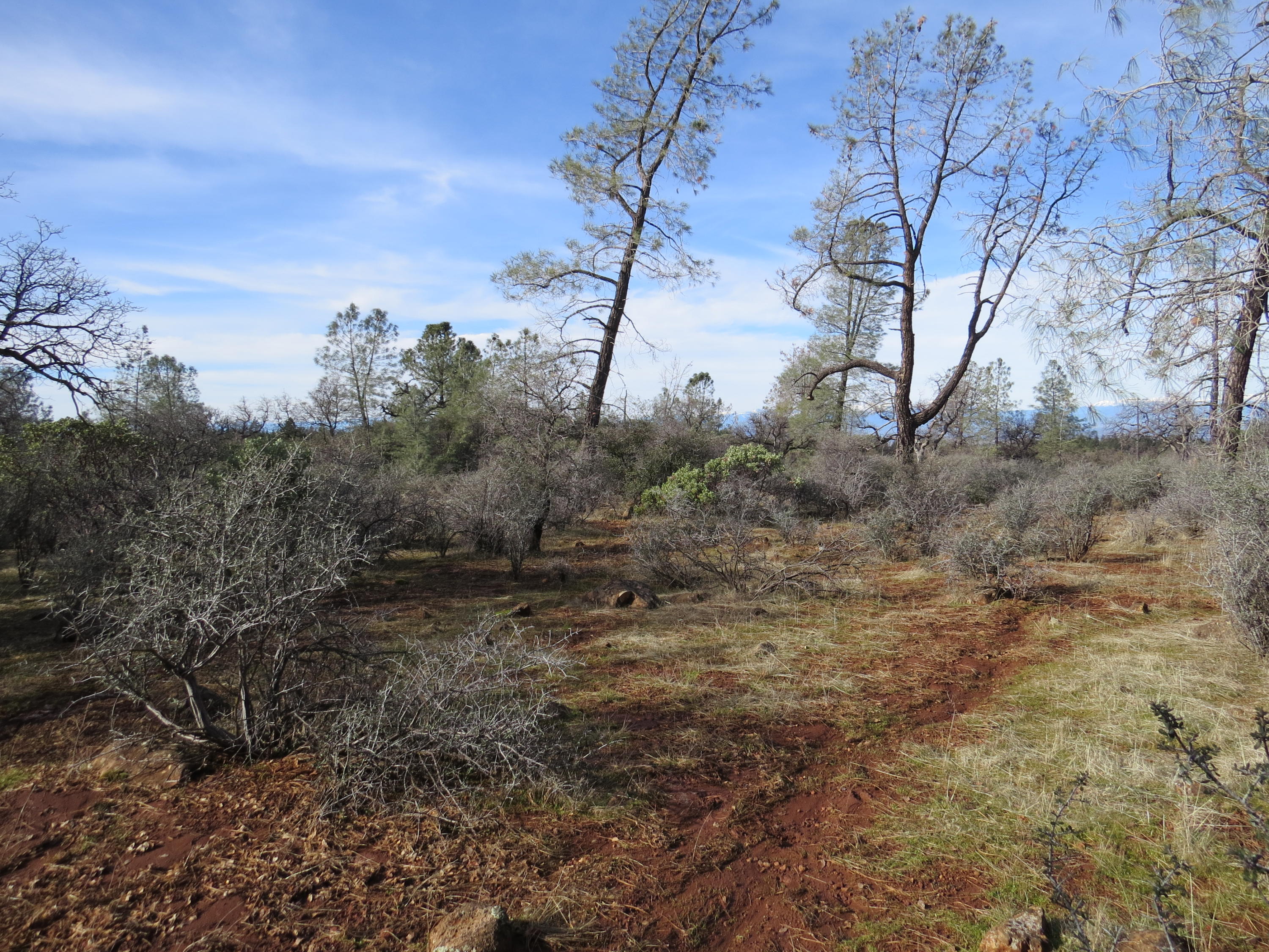 Farthing Way Shingletown, CA 96088 - Photo 3 of 8 IMG_2201