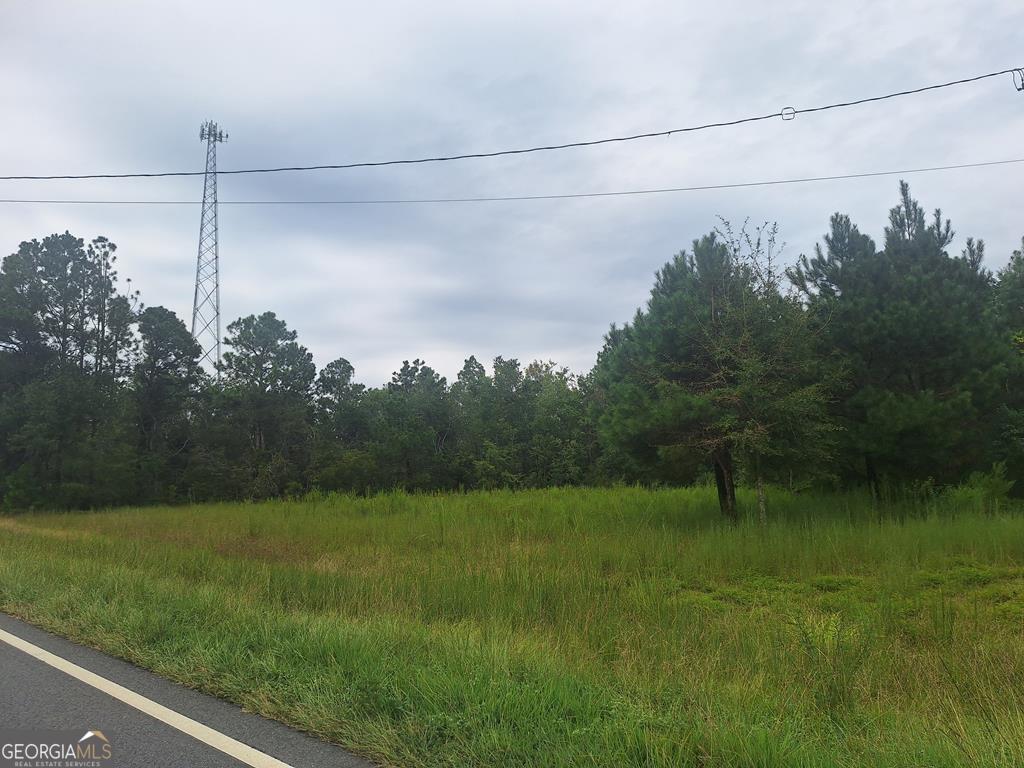 2620 Nails Ferry Road Baxley, GA 31513 - Photo 1 of 1 Main View