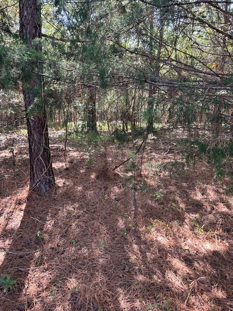 0 Lot 7 Catfish Cove Road Waterloo, SC 29384 - Photo 11 of 20 Gallery Image 11