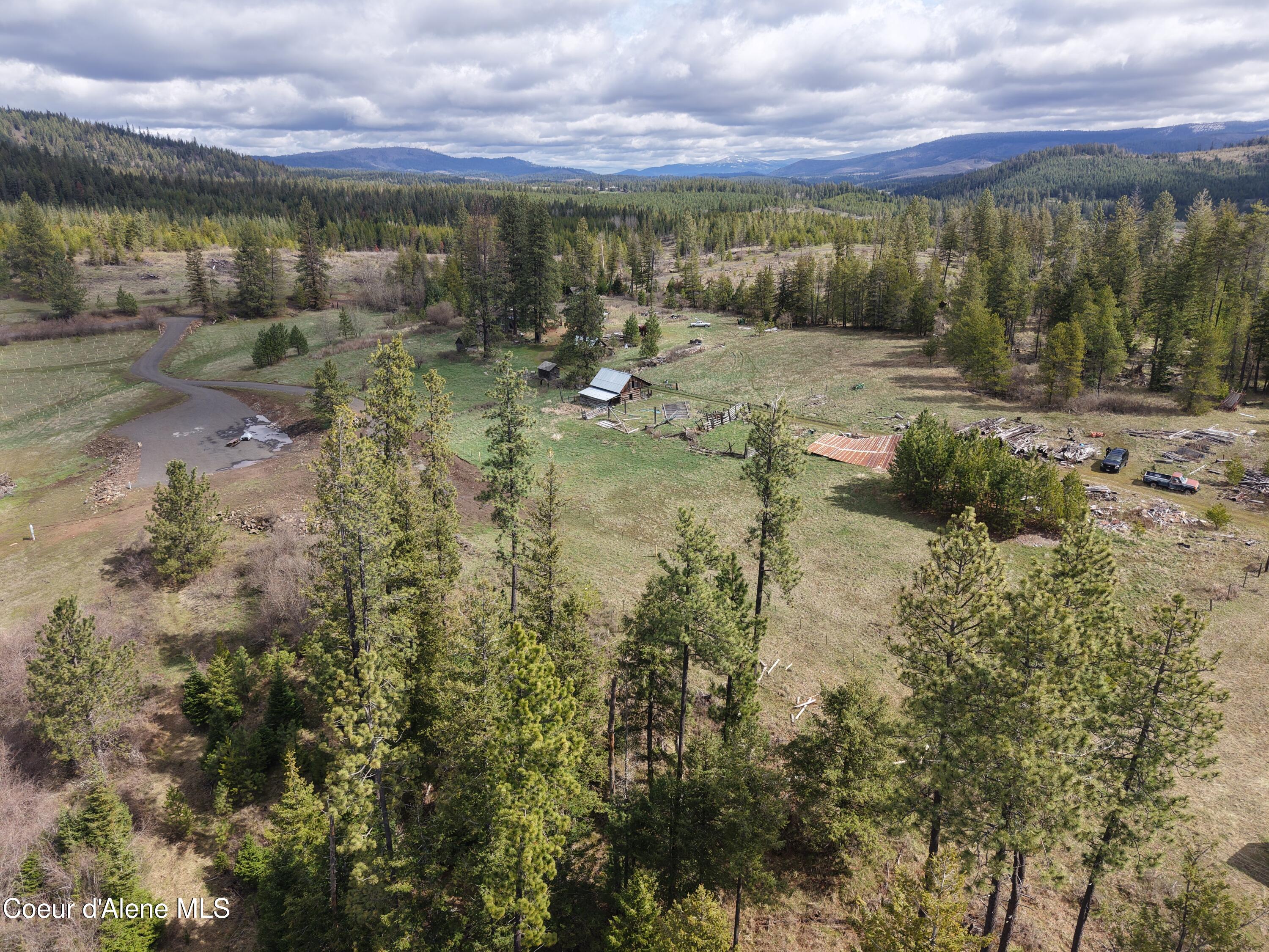 7971 Windfall Pass Road St. Maries, ID 83861 - Photo 11 of 18 dji_fly_20260403_155600_0272_17763694221