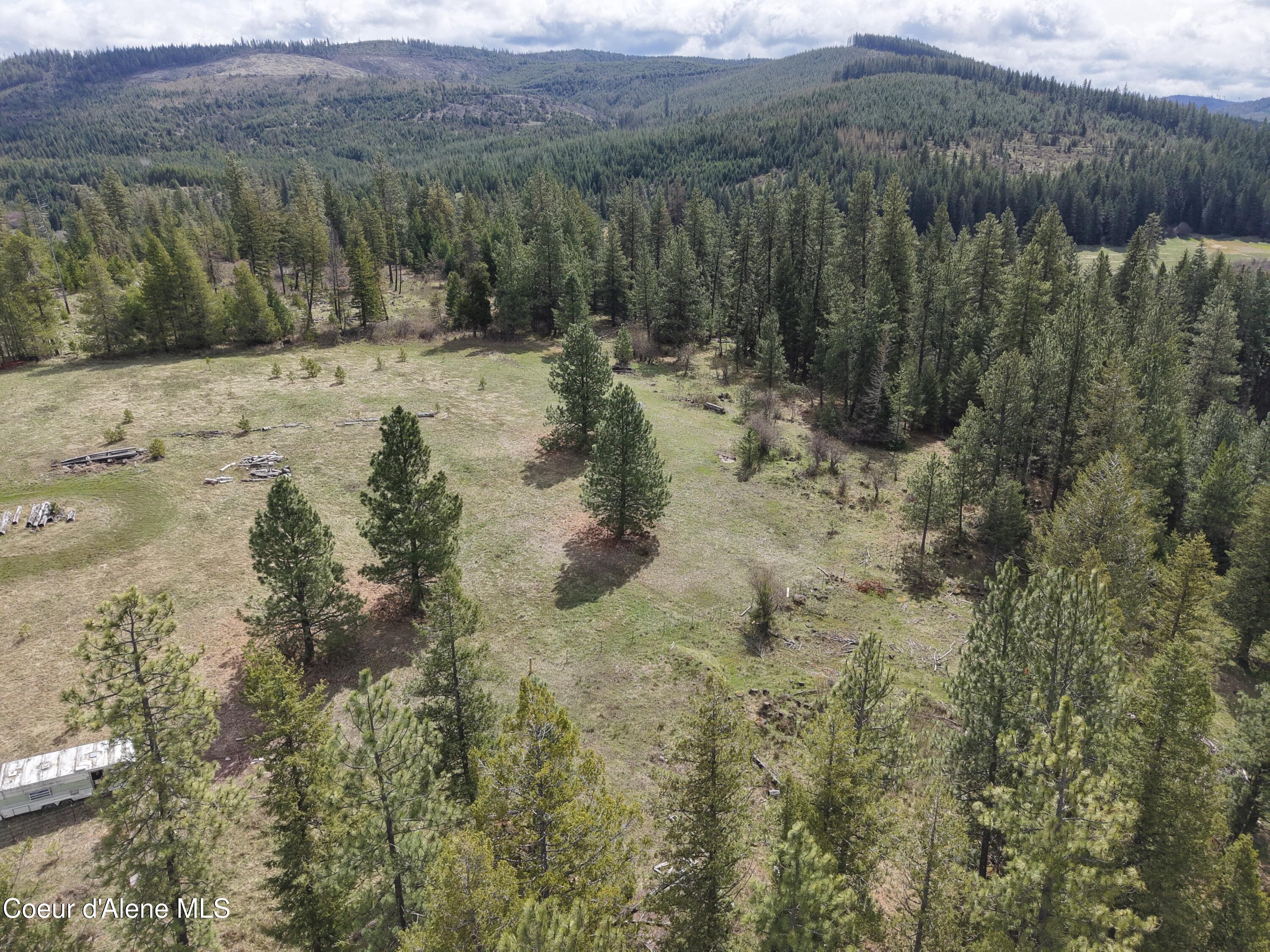 7971 Windfall Pass Road St. Maries, ID 83861 - Photo 13 of 18 dji_fly_20260403_155544_0270_17763694230