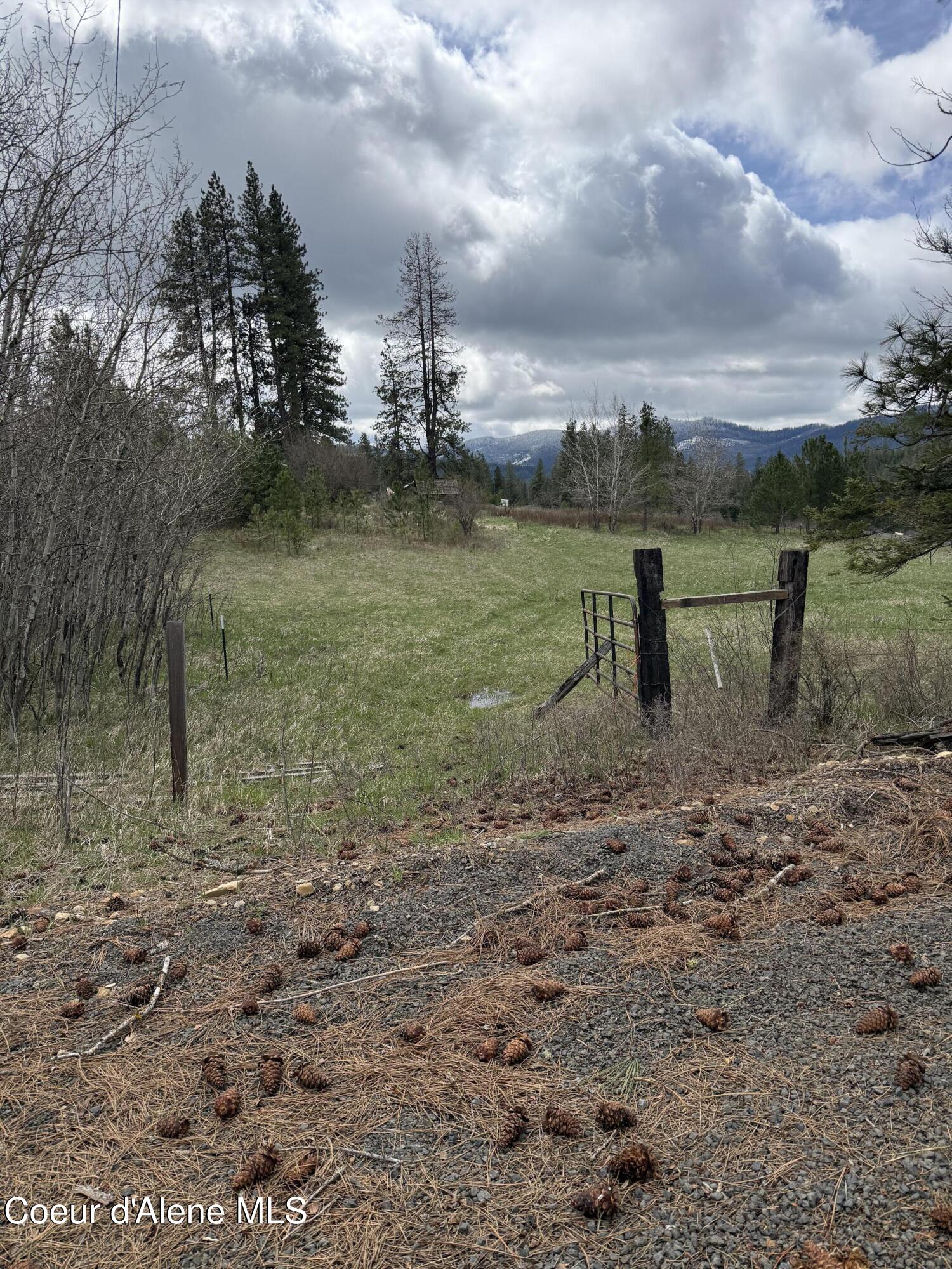 7971 Windfall Pass Road St. Maries, ID 83861 - Photo 18 of 18 IMG_7788