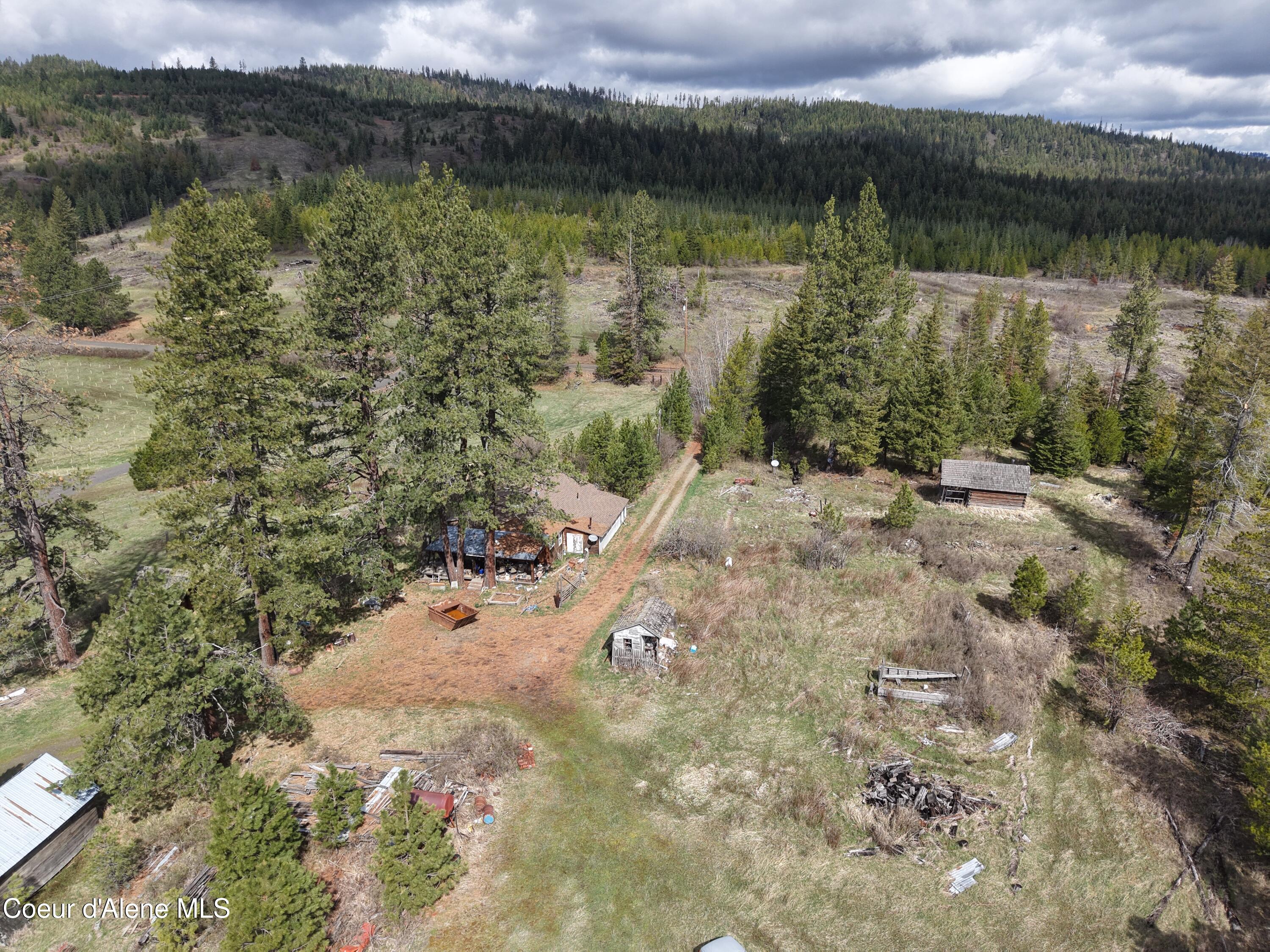 7971 Windfall Pass Road St. Maries, ID 83861 - Photo 3 of 18 dji_fly_20260403_155718_0275_17763694209