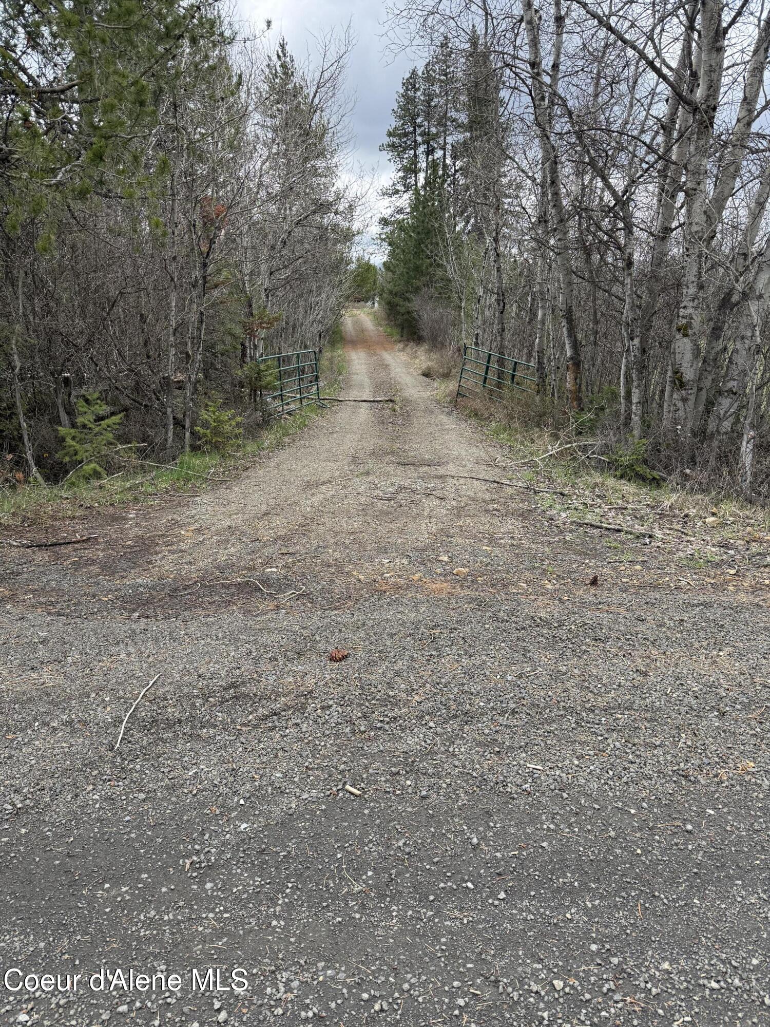 7971 Windfall Pass Road St. Maries, ID 83861 - Photo 4 of 18 IMG_7787