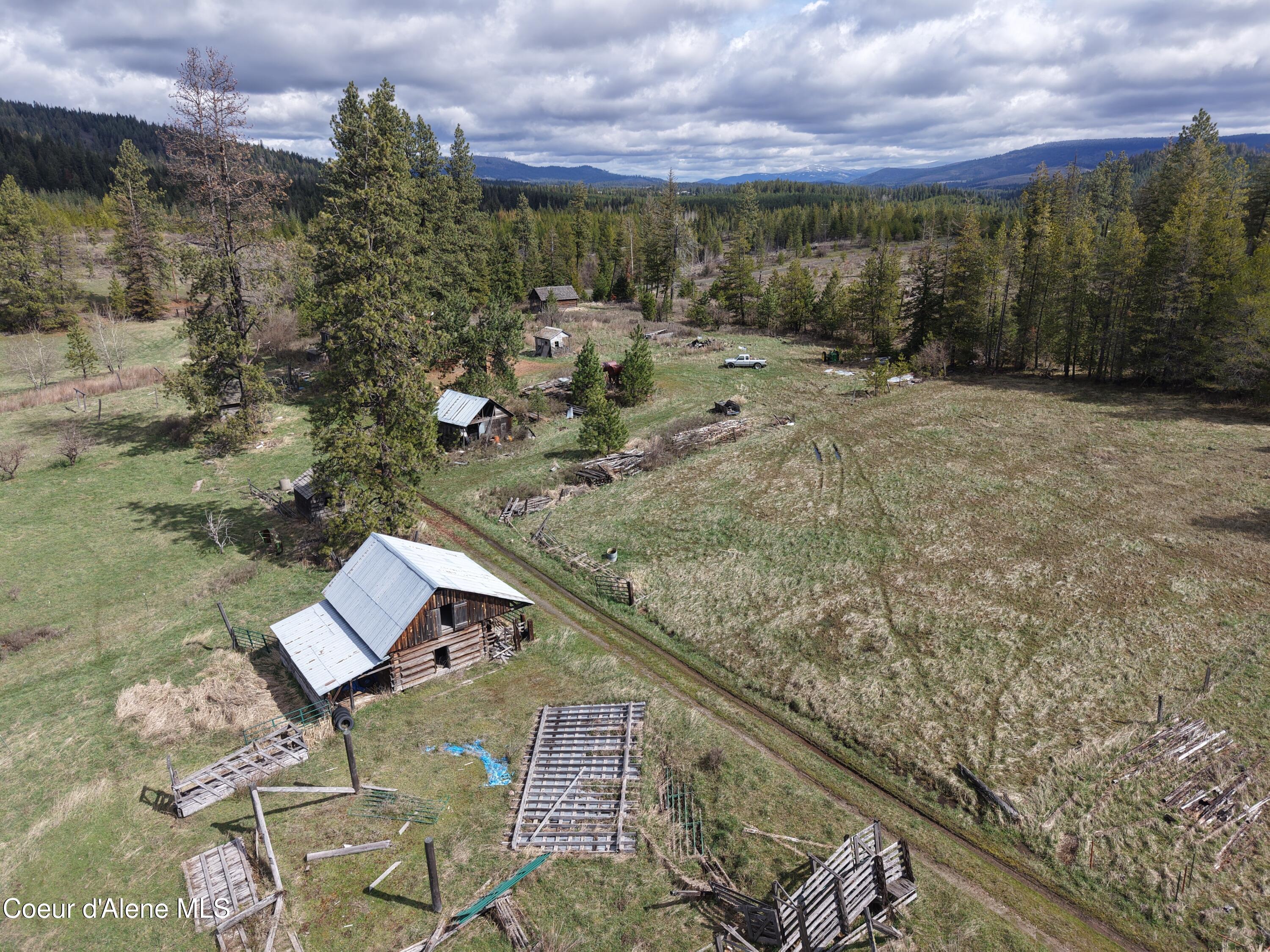 7971 Windfall Pass Road St. Maries, ID 83861 - Photo 8 of 18 dji_fly_20260403_155628_0273_17763694217