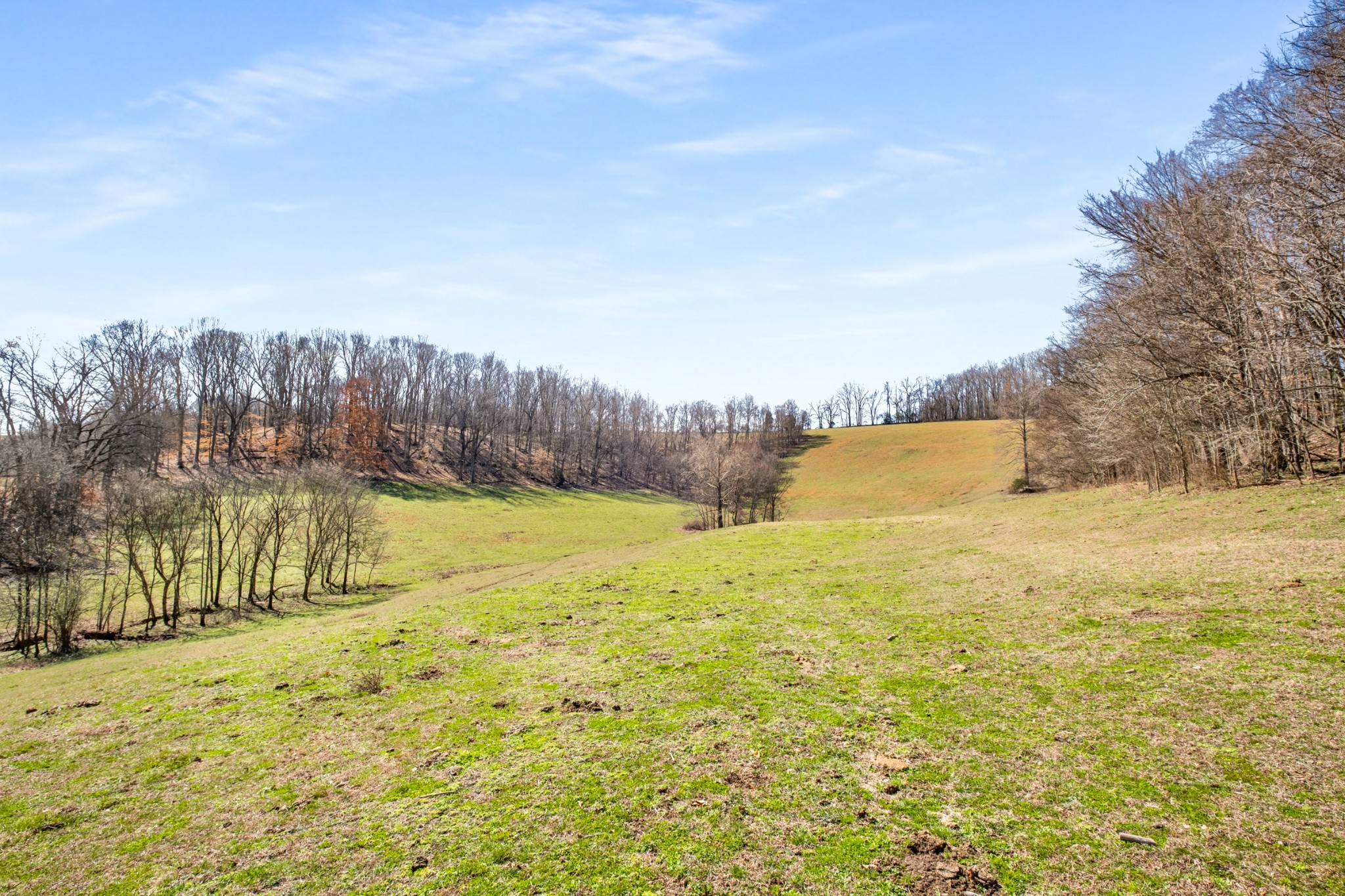3317 Floyd Road Franklin, TN 37064 - Photo 21 of 38 a view of an ocean view