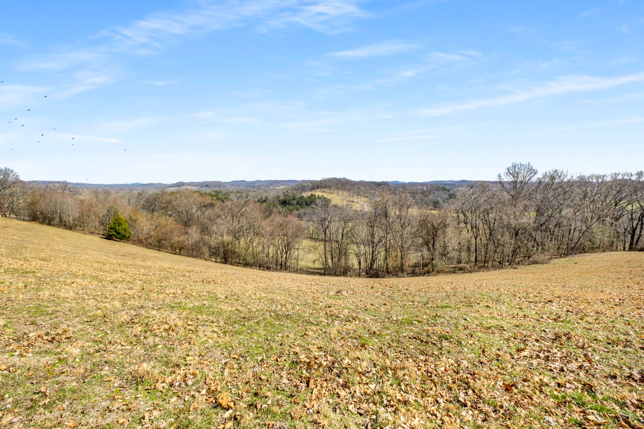 3317 Floyd Road Franklin, TN 37064 - Photo 22 of 38 a view of an outdoor space and mountain view