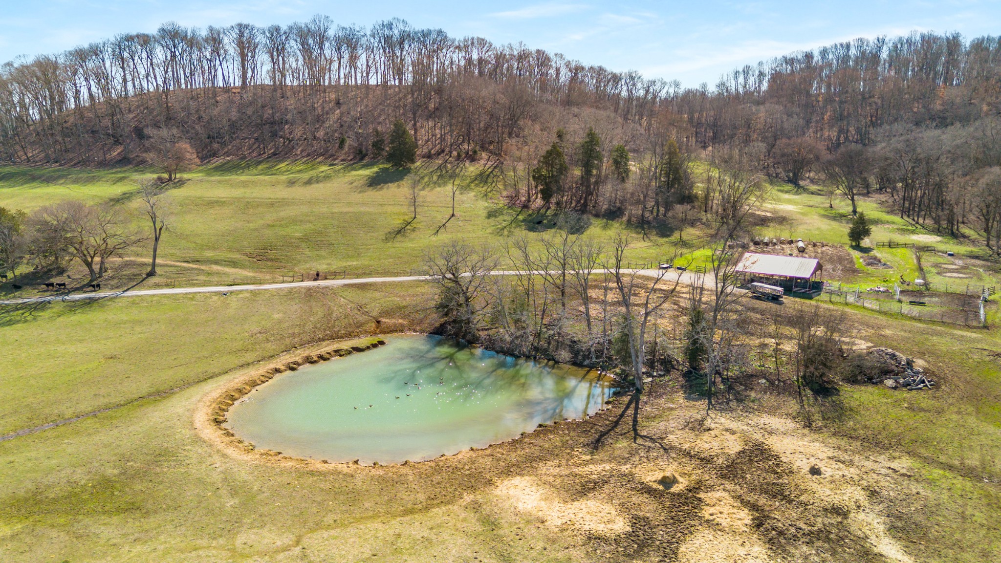 3317 Floyd Road Franklin, TN 37064 - Photo 5 of 38 a view of a swimming pool with a yard
