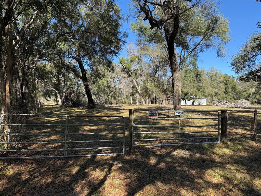 18630 Bradshaw Road Dade City, FL 33523 - Photo 1 of 43 a view of outdoor space with trees