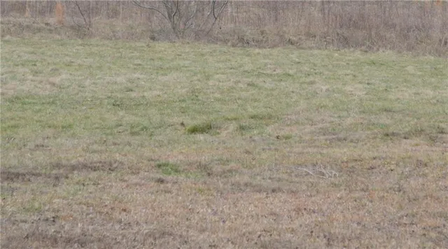 $619,447 | 0 South Old Highway South, Talking Rock, GA 30175