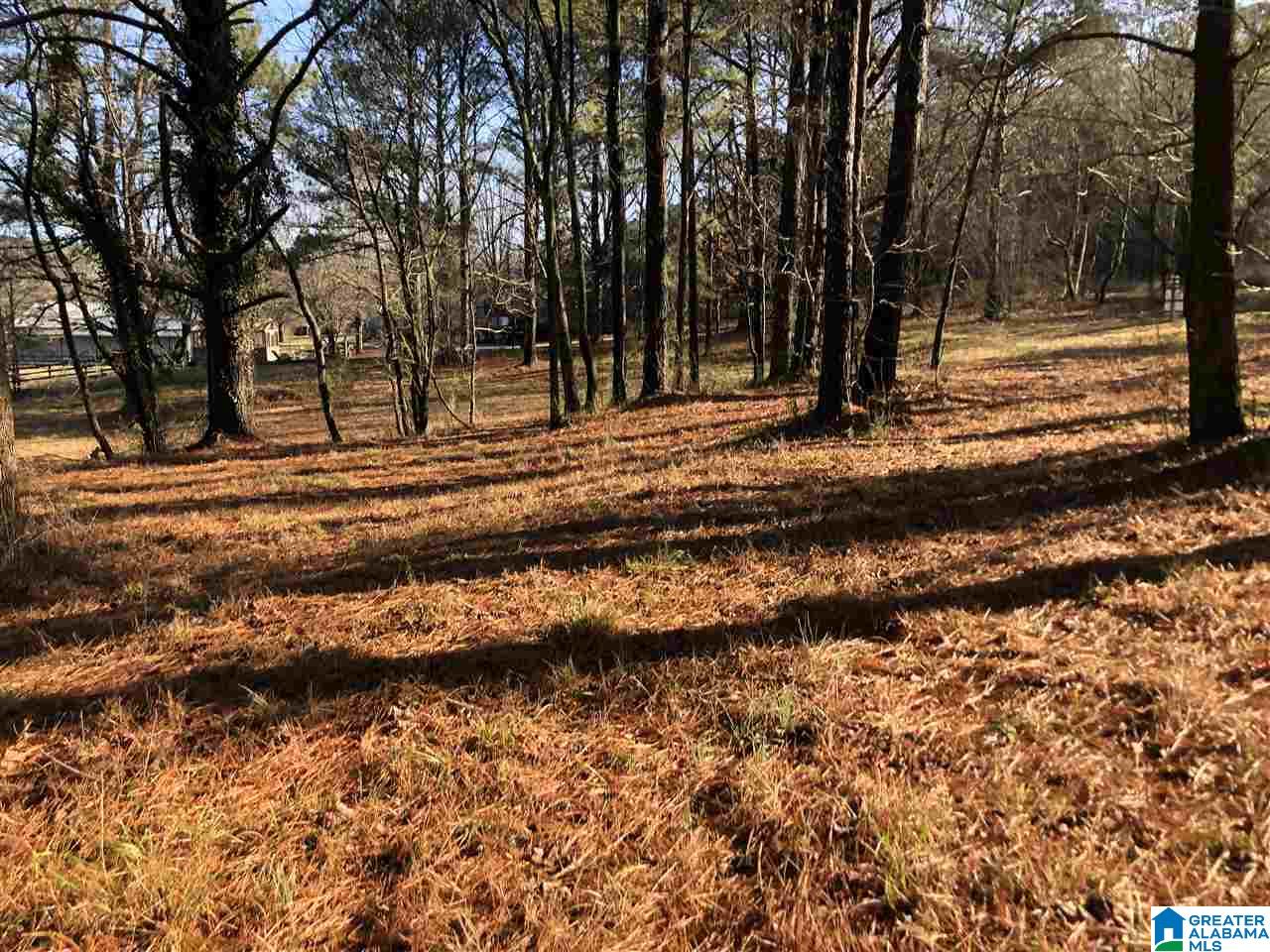 7950 Happy Hollow Road, Unit 2 Trussville, AL 35173 - Photo 8 of 12