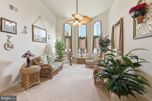a living room with furniture and a potted plant