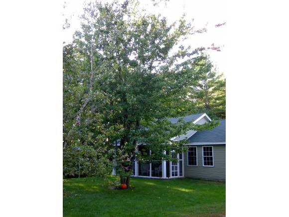 246 Grandview Loop Wakefield, NH 03872 - Photo 1 of 1 Gallery Image 1