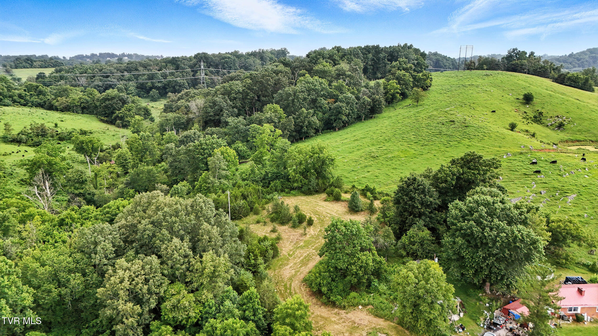 106 Gentry Hamilton Road Gray, TN 37615 - Photo 49 of 50 49_dji_20250701182454_0931_d