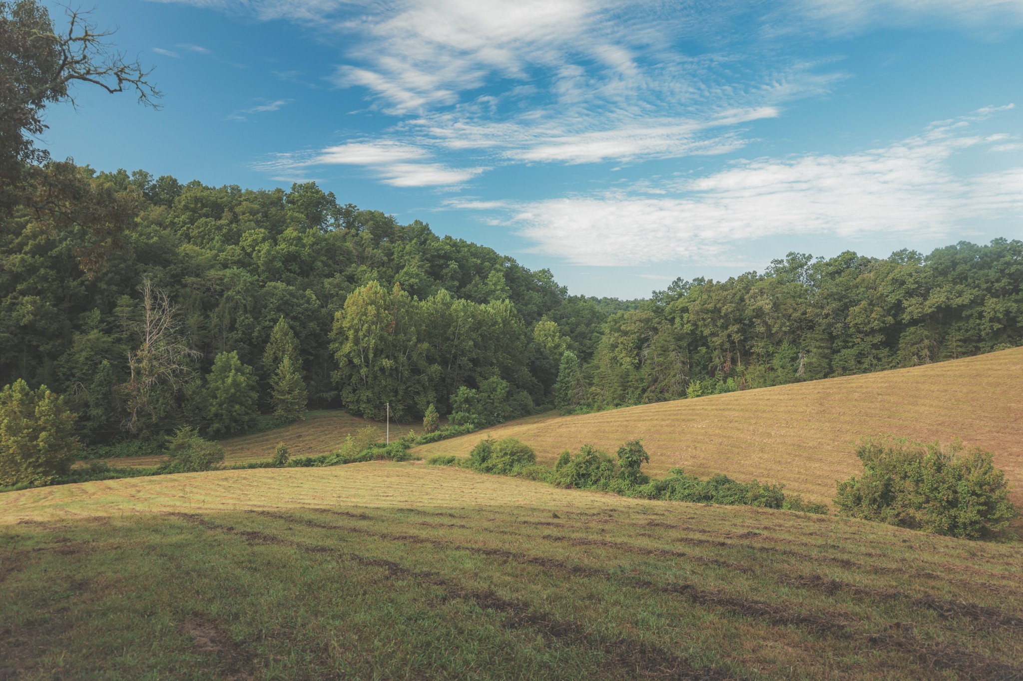 1634 Dixon Branch Road Sevierville, TN 37876 - Photo 69 of 86 Gallery Image 69