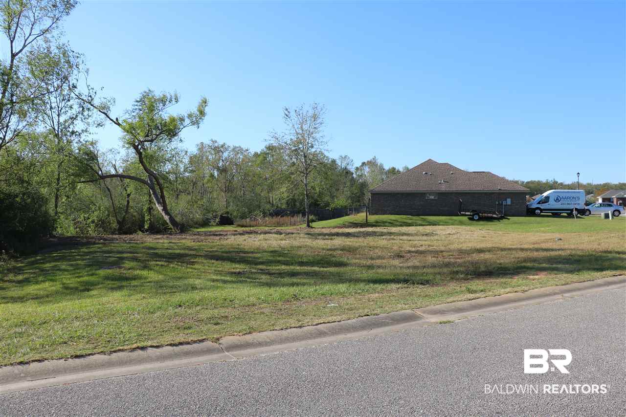 Lot 41 Thames Drive Foley, AL 36535 - Photo 4 of 14