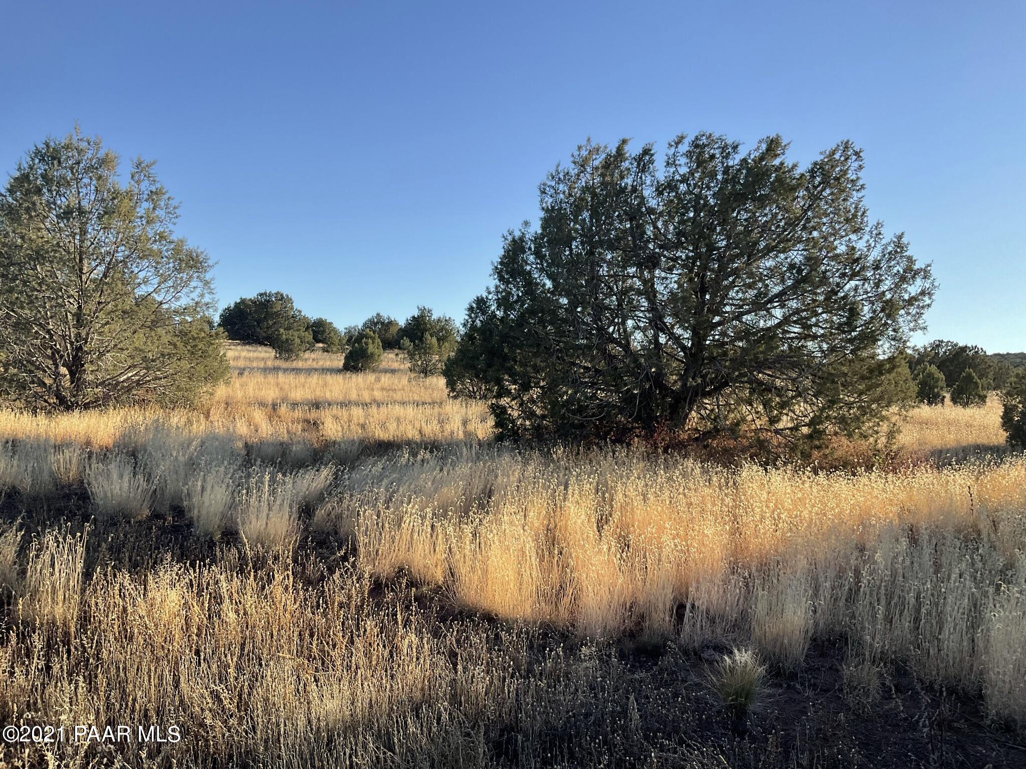 3938 Verde Road Williams, AZ 86046 - Photo 3 of 8