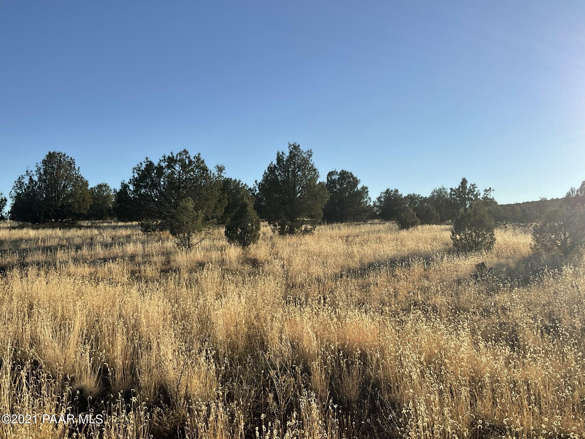 3938 Verde Road Williams, AZ 86046 - Photo 6 of 8 a view of ocean view